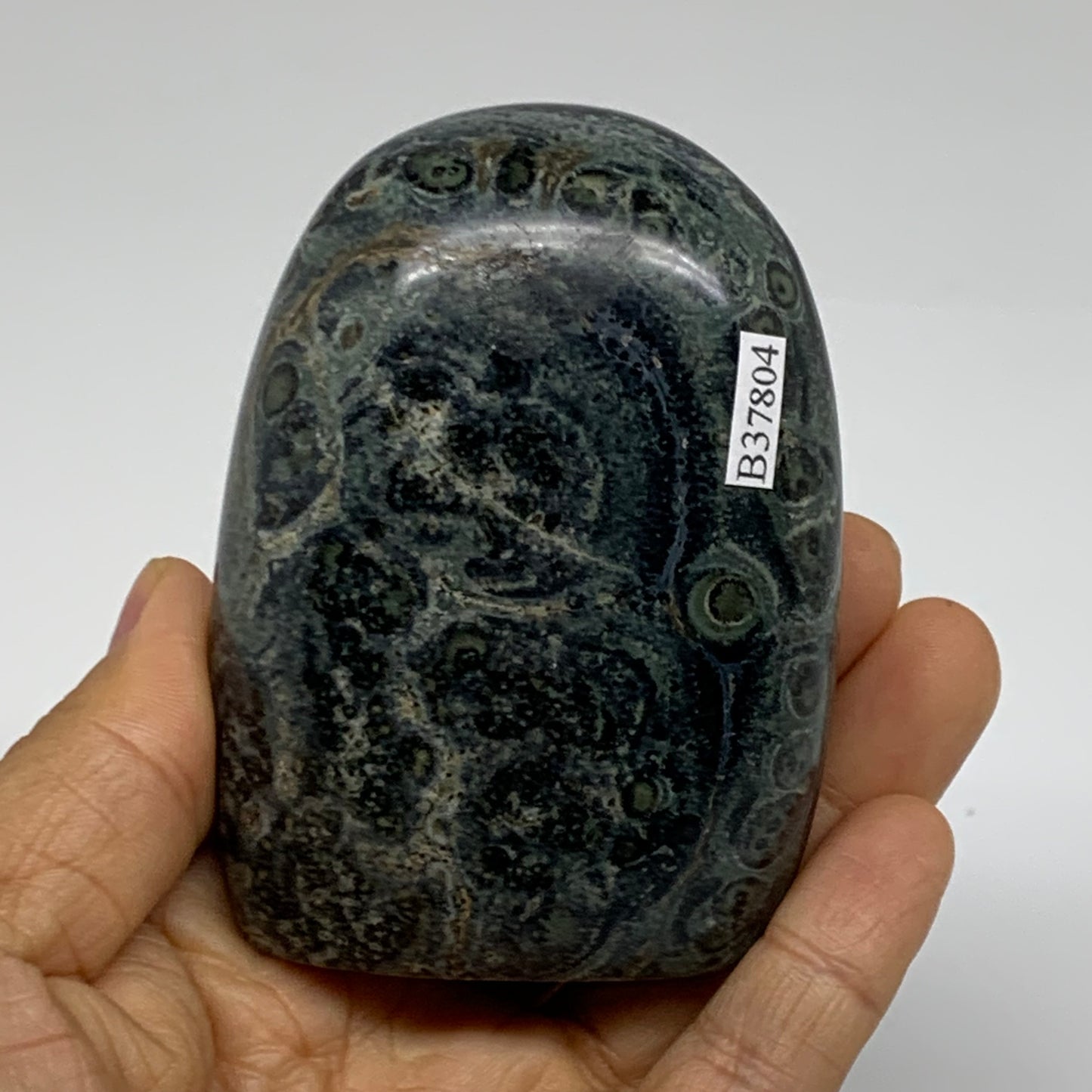 0.65 lbs, 3.2"x2.4"x1.4" Kambaba Jasper Freeform Crocodile, B37804