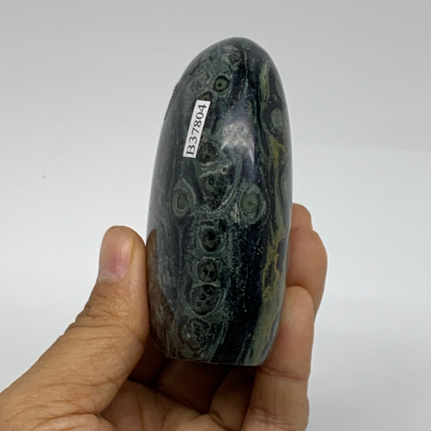 0.65 lbs, 3.2"x2.4"x1.4" Kambaba Jasper Freeform Crocodile, B37804