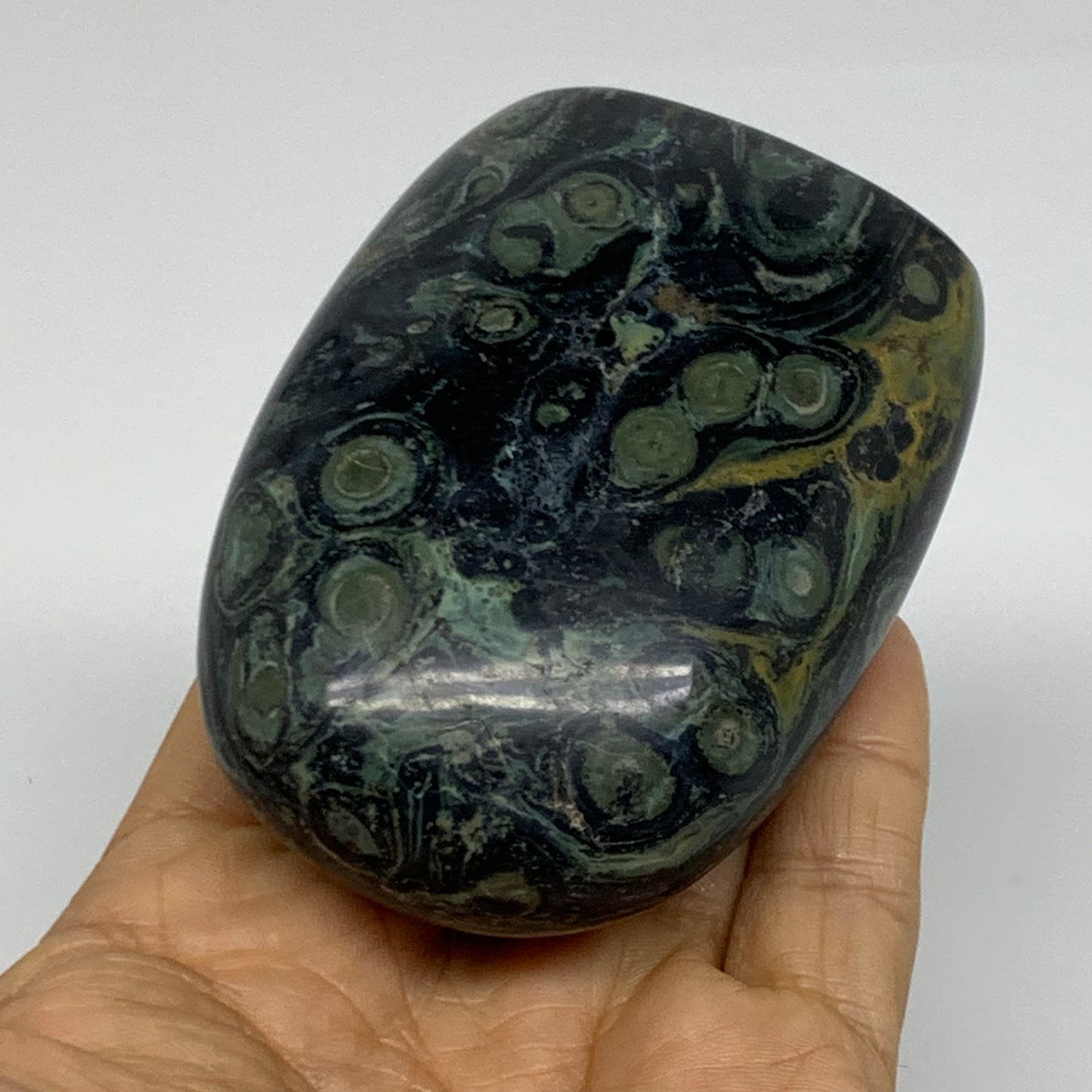 0.65 lbs, 3.2"x2.4"x1.4" Kambaba Jasper Freeform Crocodile, B37804
