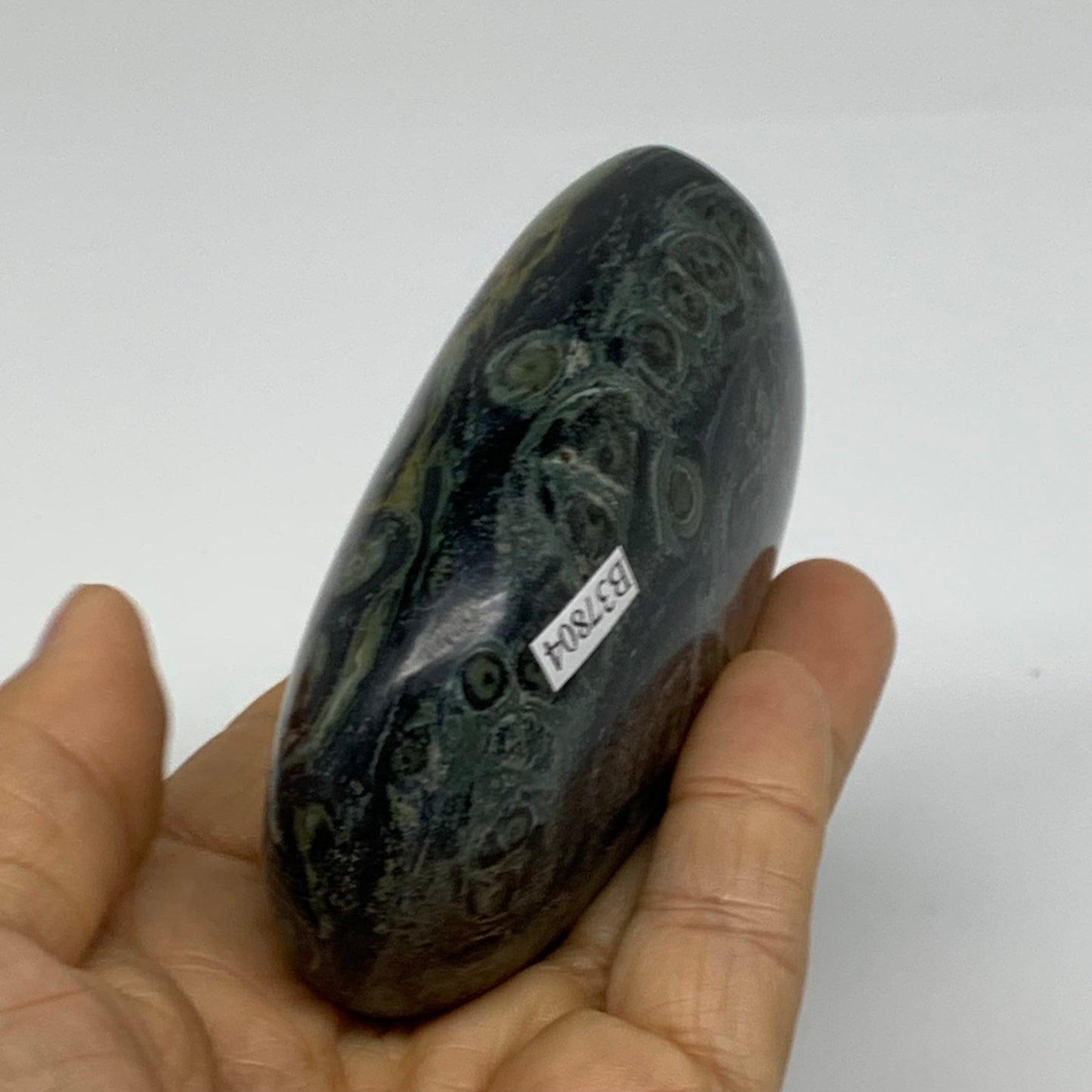0.65 lbs, 3.2"x2.4"x1.4" Kambaba Jasper Freeform Crocodile, B37804