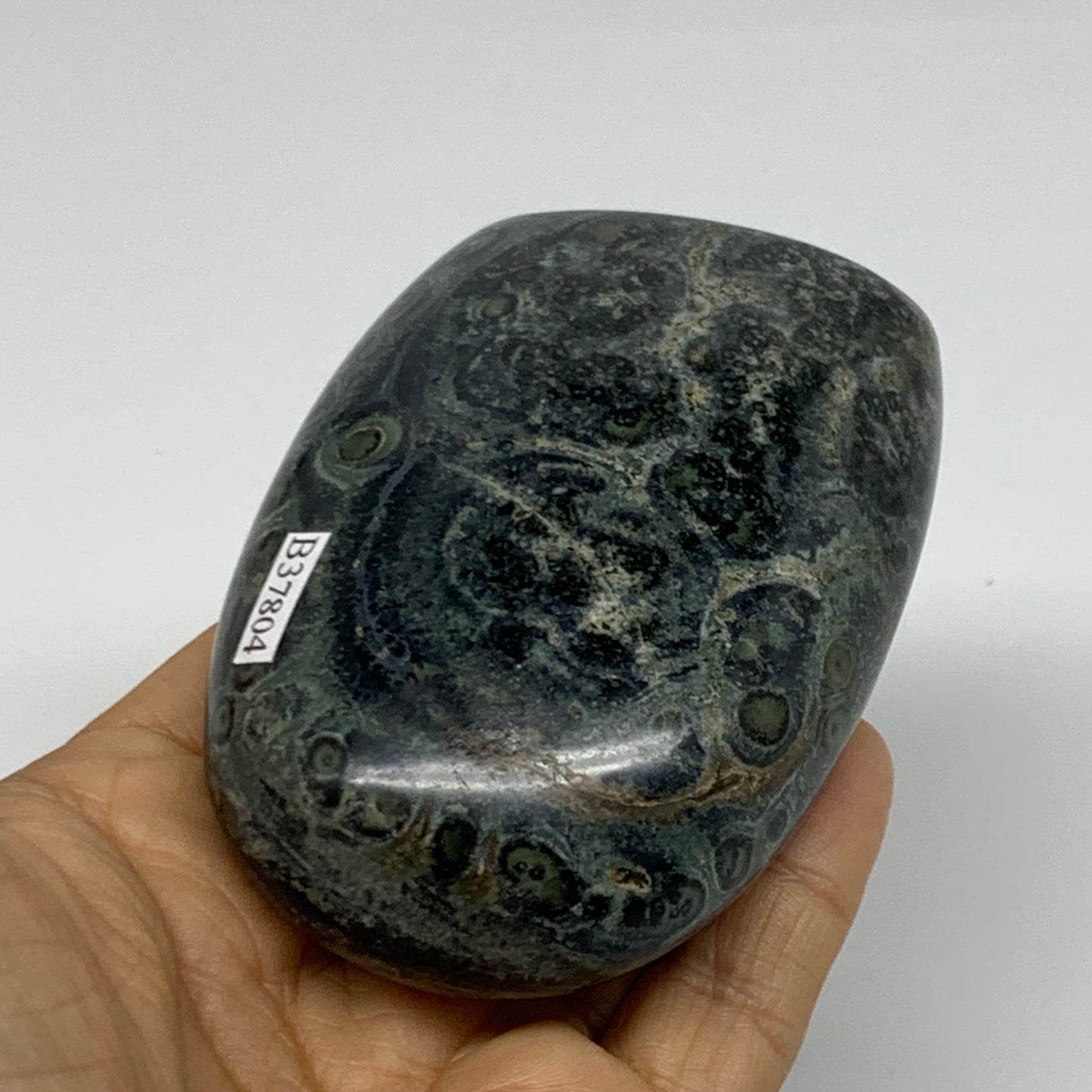 0.65 lbs, 3.2"x2.4"x1.4" Kambaba Jasper Freeform Crocodile, B37804