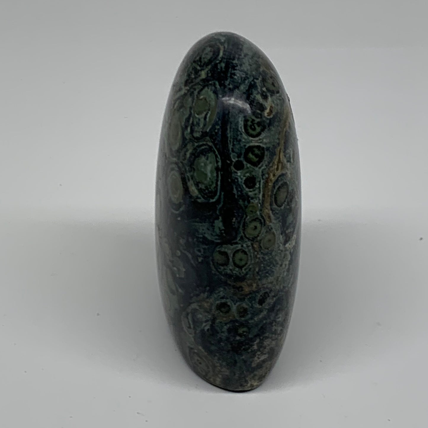 0.65 lbs, 3.2"x2.4"x1.4" Kambaba Jasper Freeform Crocodile, B37804