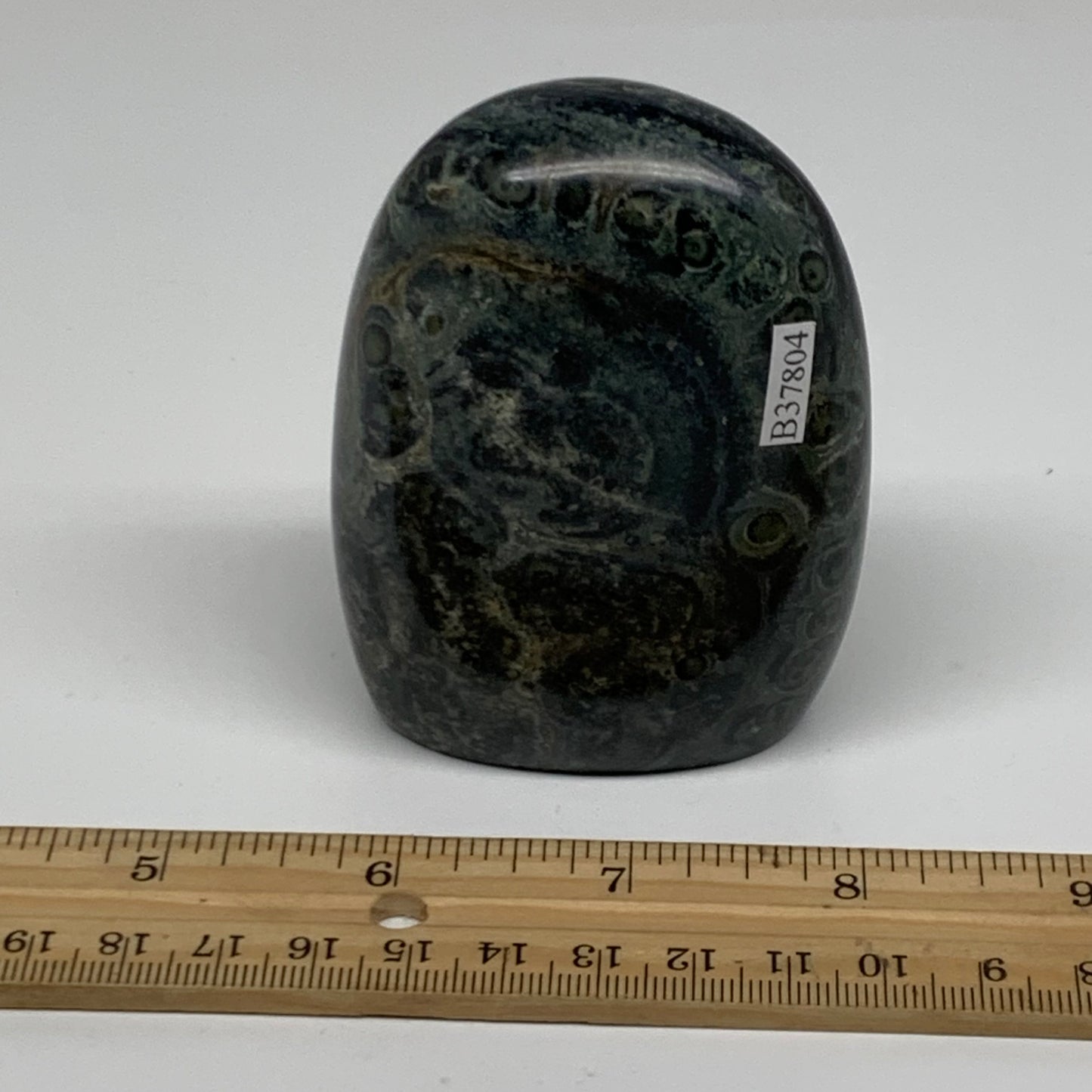 0.65 lbs, 3.2"x2.4"x1.4" Kambaba Jasper Freeform Crocodile, B37804