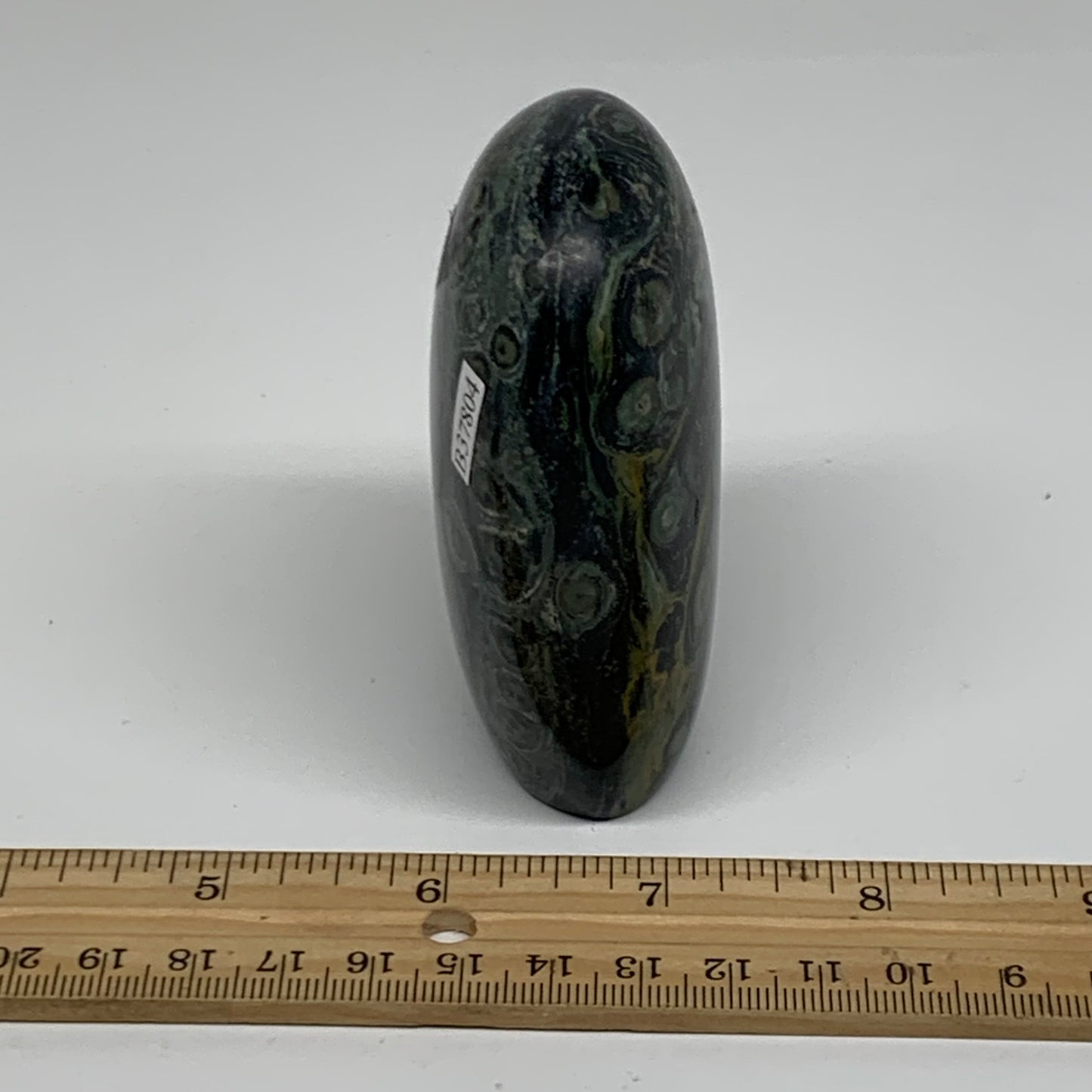 0.65 lbs, 3.2"x2.4"x1.4" Kambaba Jasper Freeform Crocodile, B37804