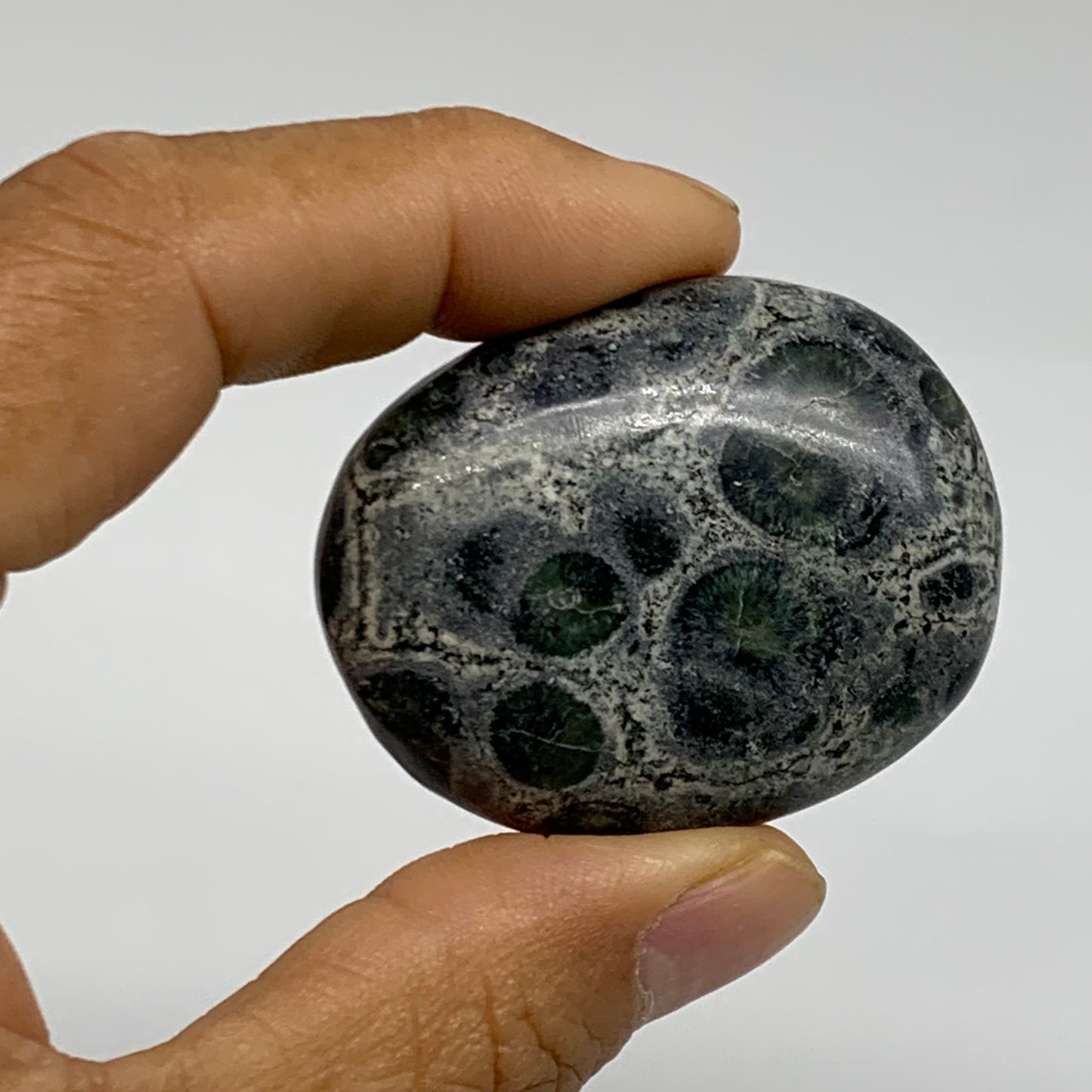 150g, 1.8"-2.2", 2pcs,  Crocodile Kambaba Jasper Palm-Stone, B37805