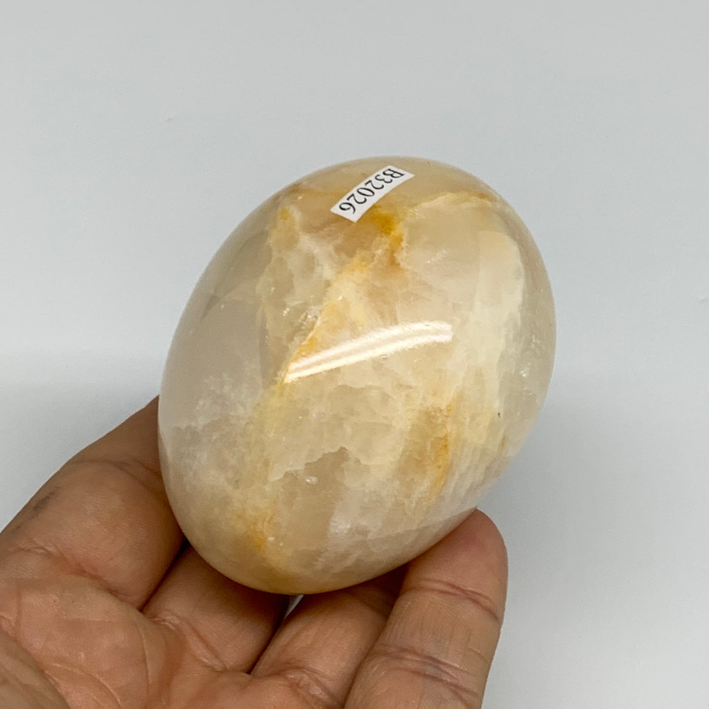254g, 2.7"x2" Natural Green Onyx Egg Gemstone Mineral, from Pakistan, B32026