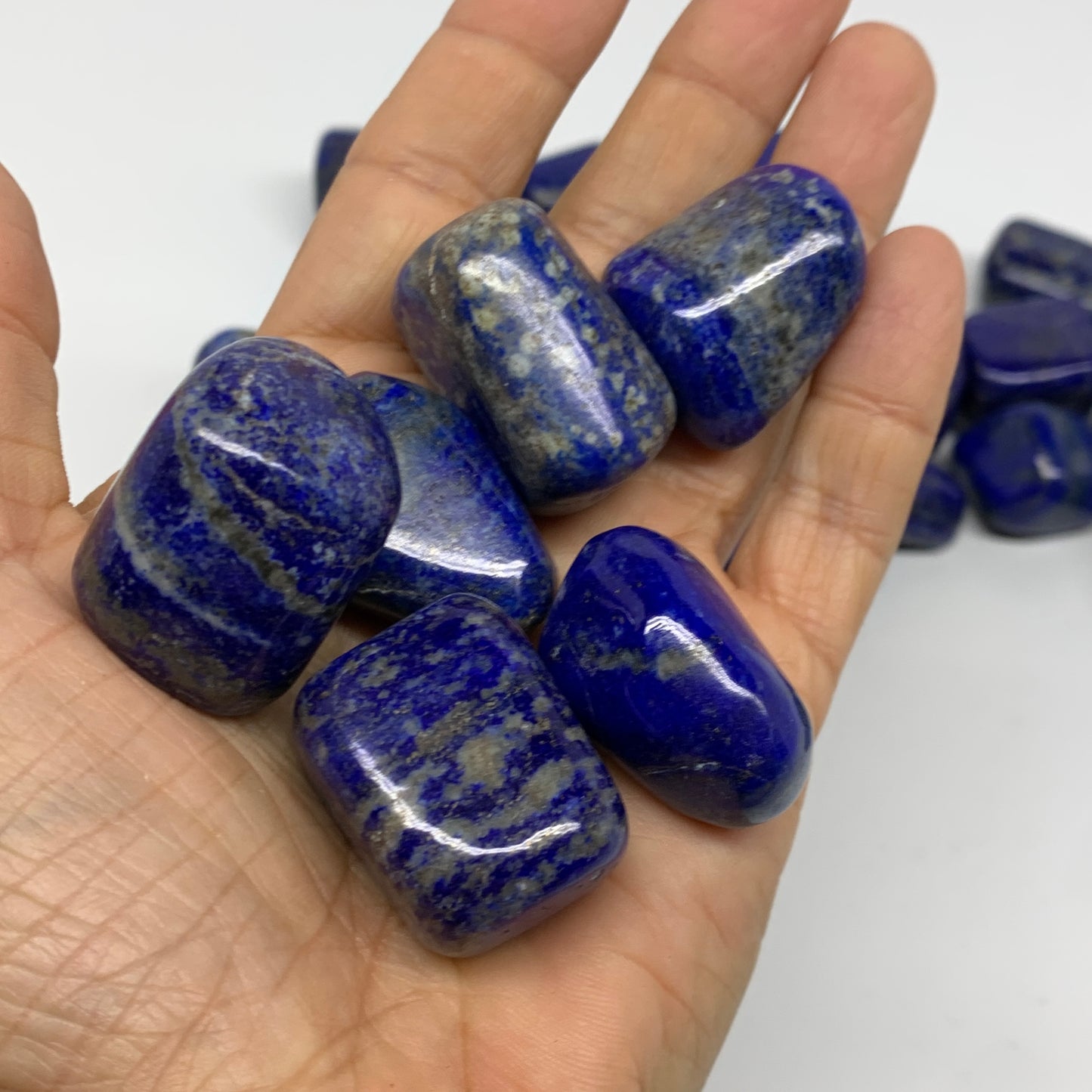 2.2 lb, 0.8"-1.4", 35 pcs, Lapis Lazuli Tumbled Stone Polished, B36973