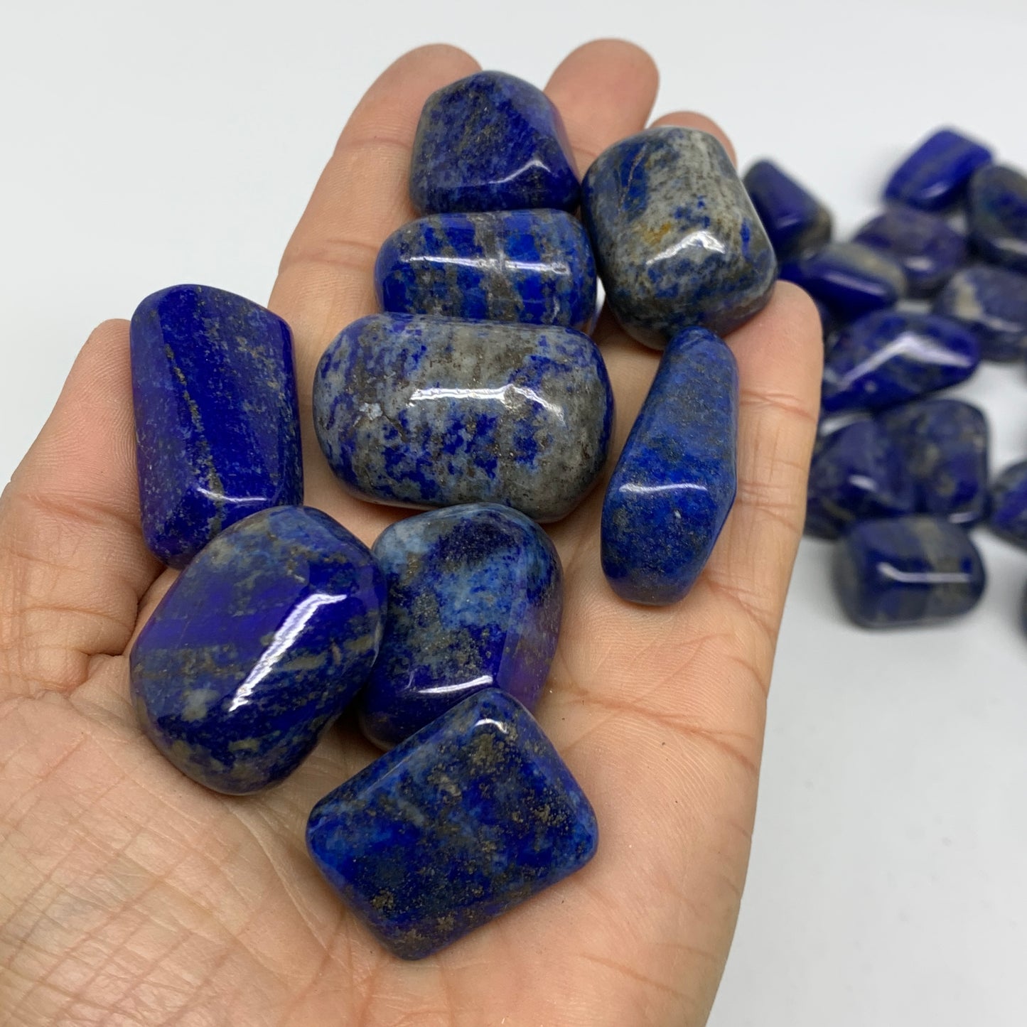 2.2 lb, 0.9"-1.6", 44 pcs, Lapis Lazuli Tumbled Stone Polished, B36980