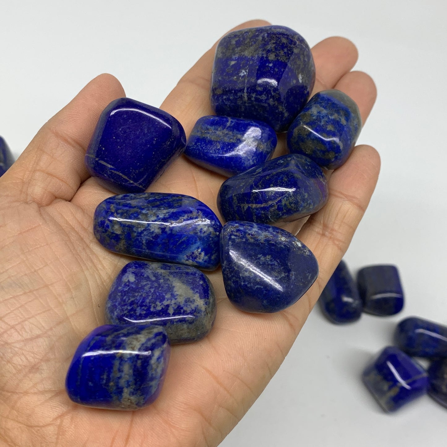2.2 lb, 0.9"-1.6", 44 pcs, Lapis Lazuli Tumbled Stone Polished, B36980