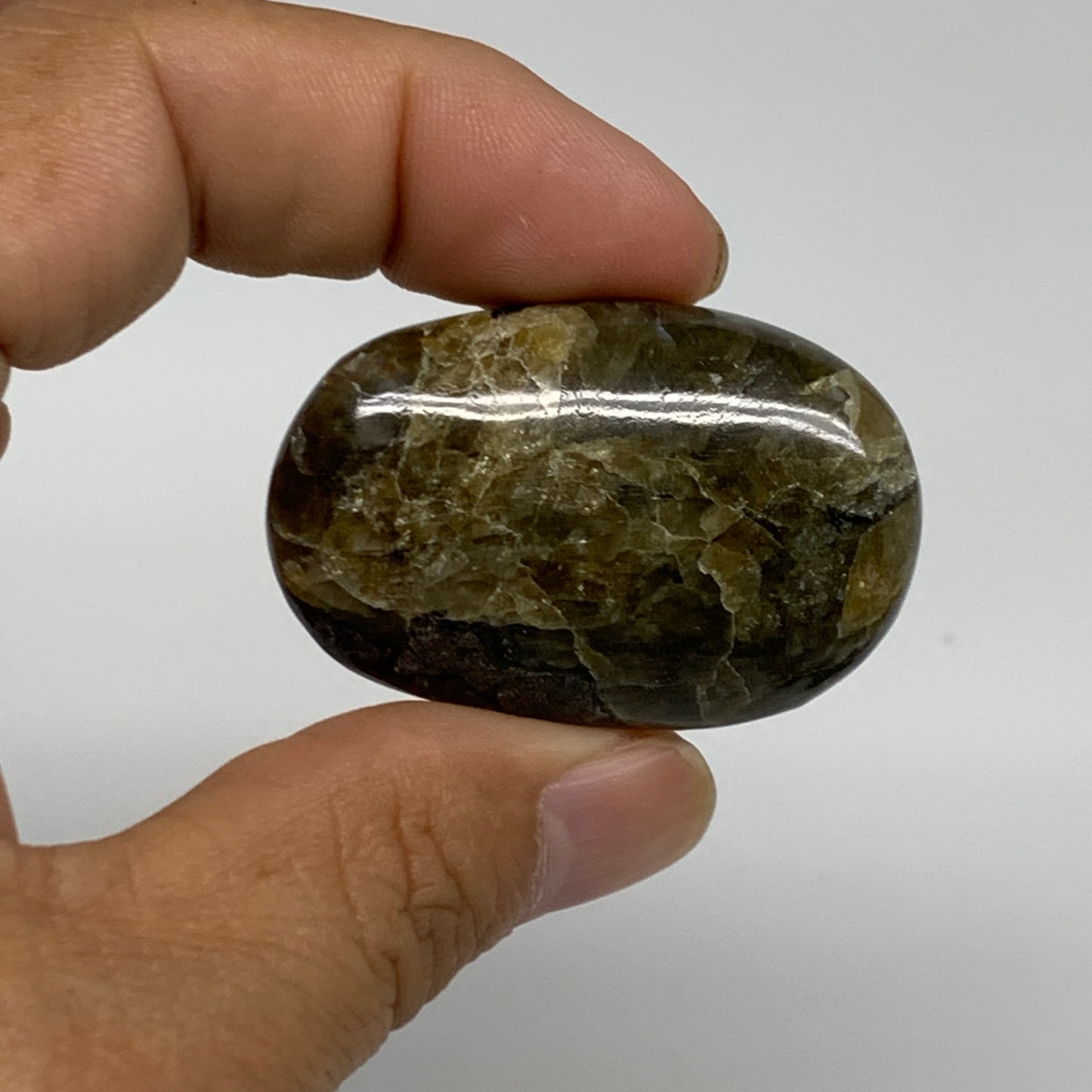 165.5g, 1.7"-1.8", 5pcs, Labradorite Palm-stone Polished Gemstone, B35544