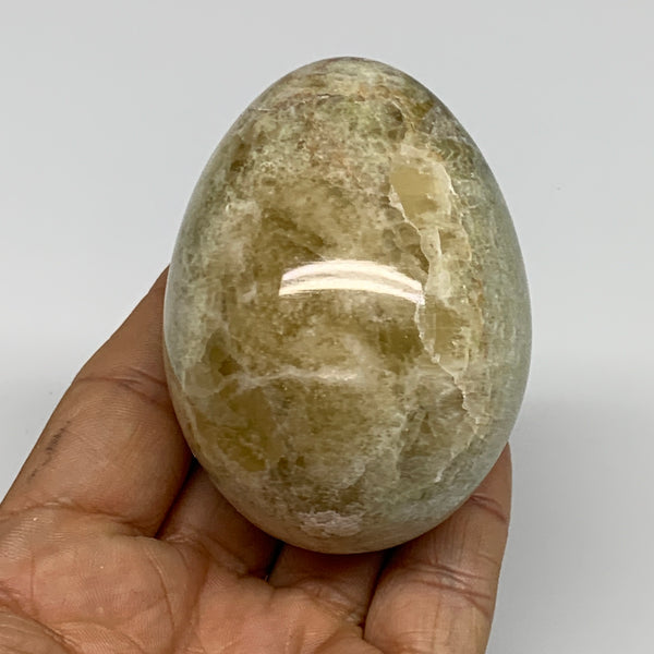 263g, 2.7"x2" Natural Green Onyx Egg Gemstone Mineral, from Pakistan, B32041