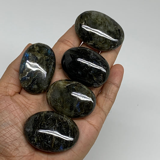 193.5g, 1.7"-1.8", 5pcs, Labradorite Palm-stone Polished Gemstone, B35549