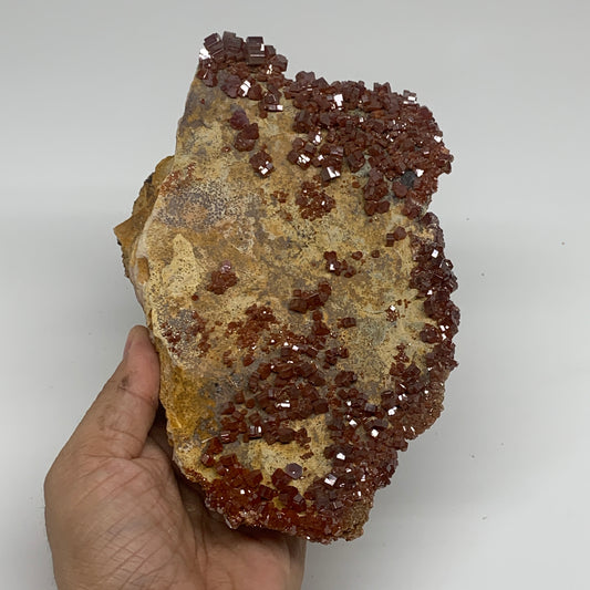 2.1 lbs, 7"x4.9"x1.8", Vanadinite Crystals Cluster Mineral Specimens, B34007