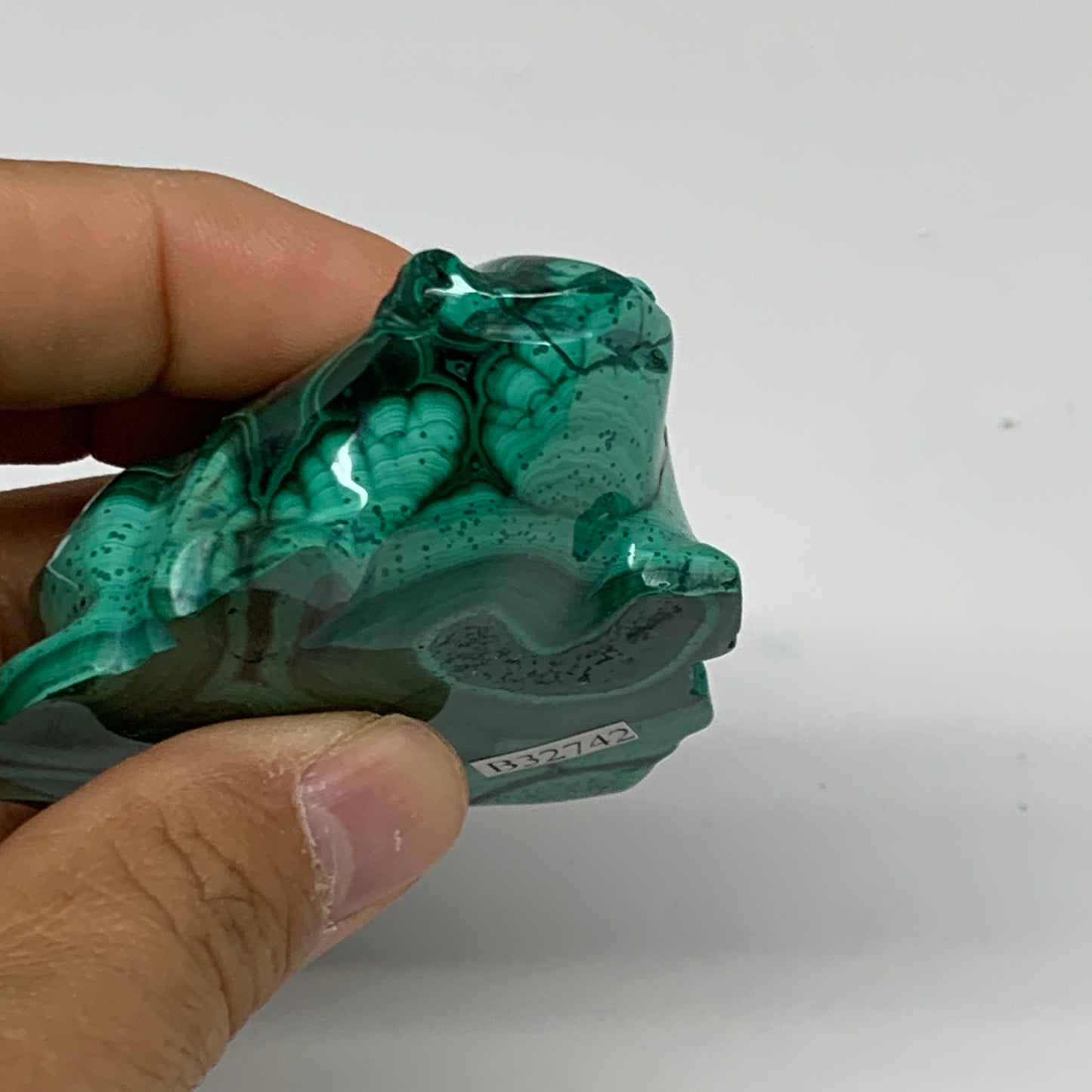 154g, 2.6"x2.3"x1" Natural Solid Malachite Frog Figurine @Congo, B32742