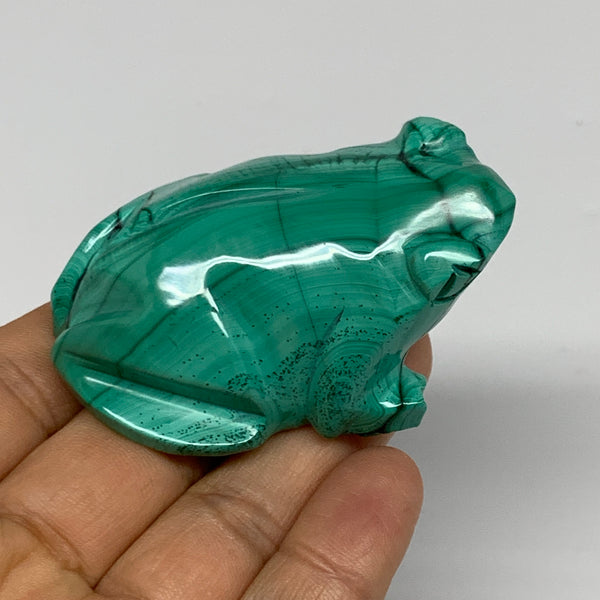 132.2g, 2.6"x1.7"x1.1" Natural Solid Malachite Frog Figurine @Congo, B32745