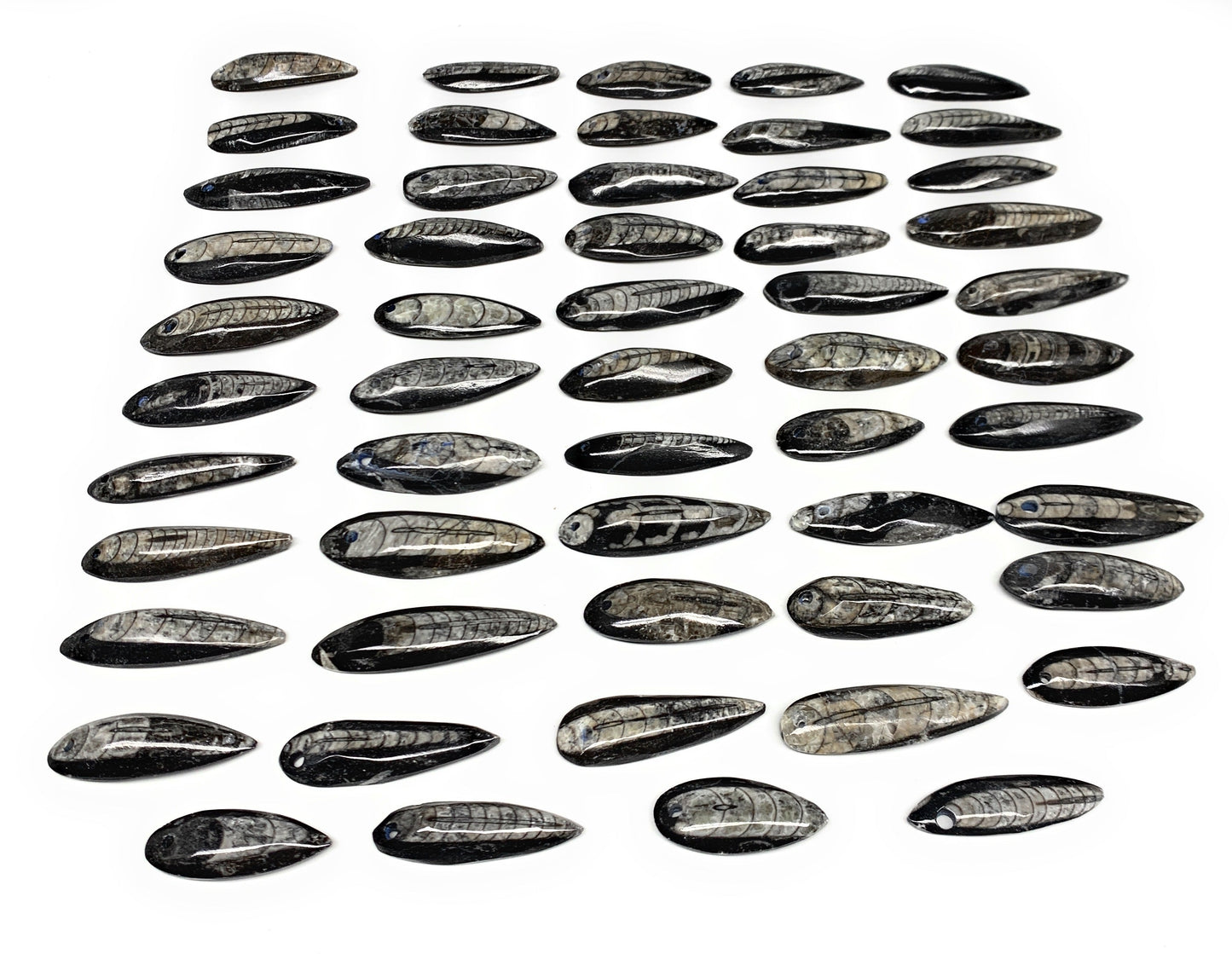 540g (1.19 lbs), 52 pcs, 1.6"-2.5", Small Orthoceras Fossils Drilled Pendants, B