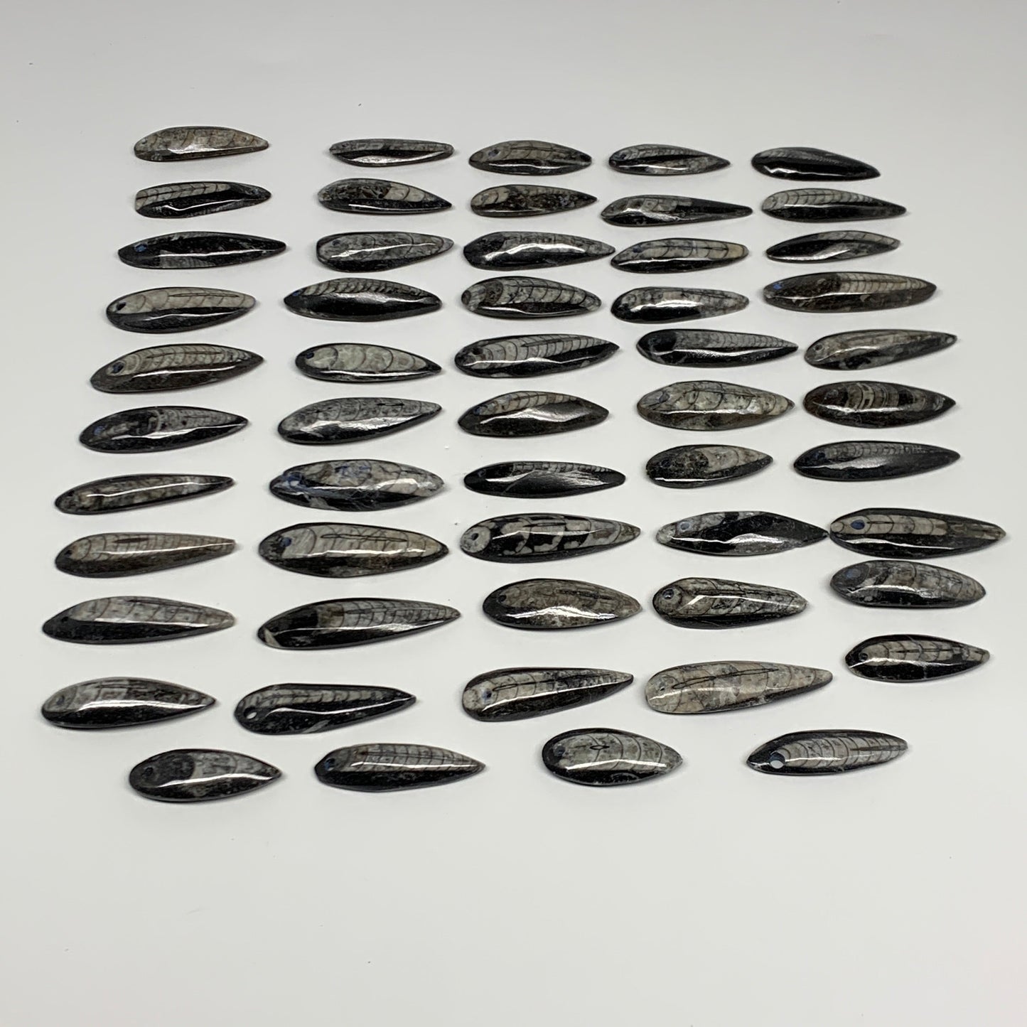 540g (1.19 lbs), 52 pcs, 1.6"-2.5", Small Orthoceras Fossils Drilled Pendants, B