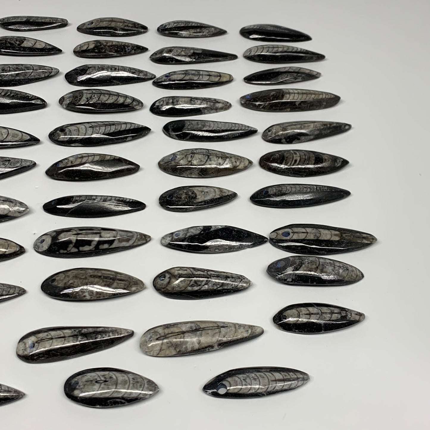540g (1.19 lbs), 52 pcs, 1.6"-2.5", Small Orthoceras Fossils Drilled Pendants, B