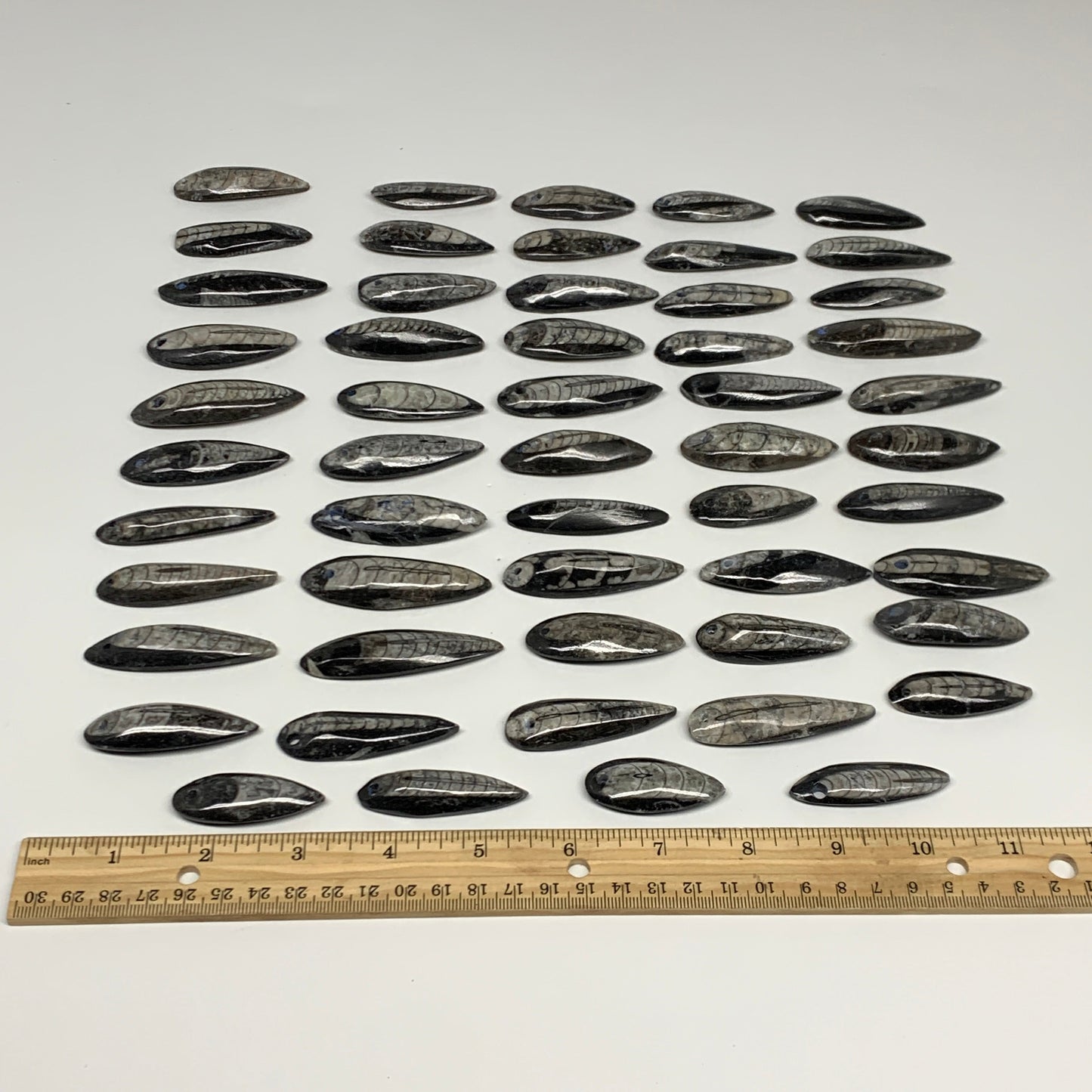 540g (1.19 lbs), 52 pcs, 1.6"-2.5", Small Orthoceras Fossils Drilled Pendants, B