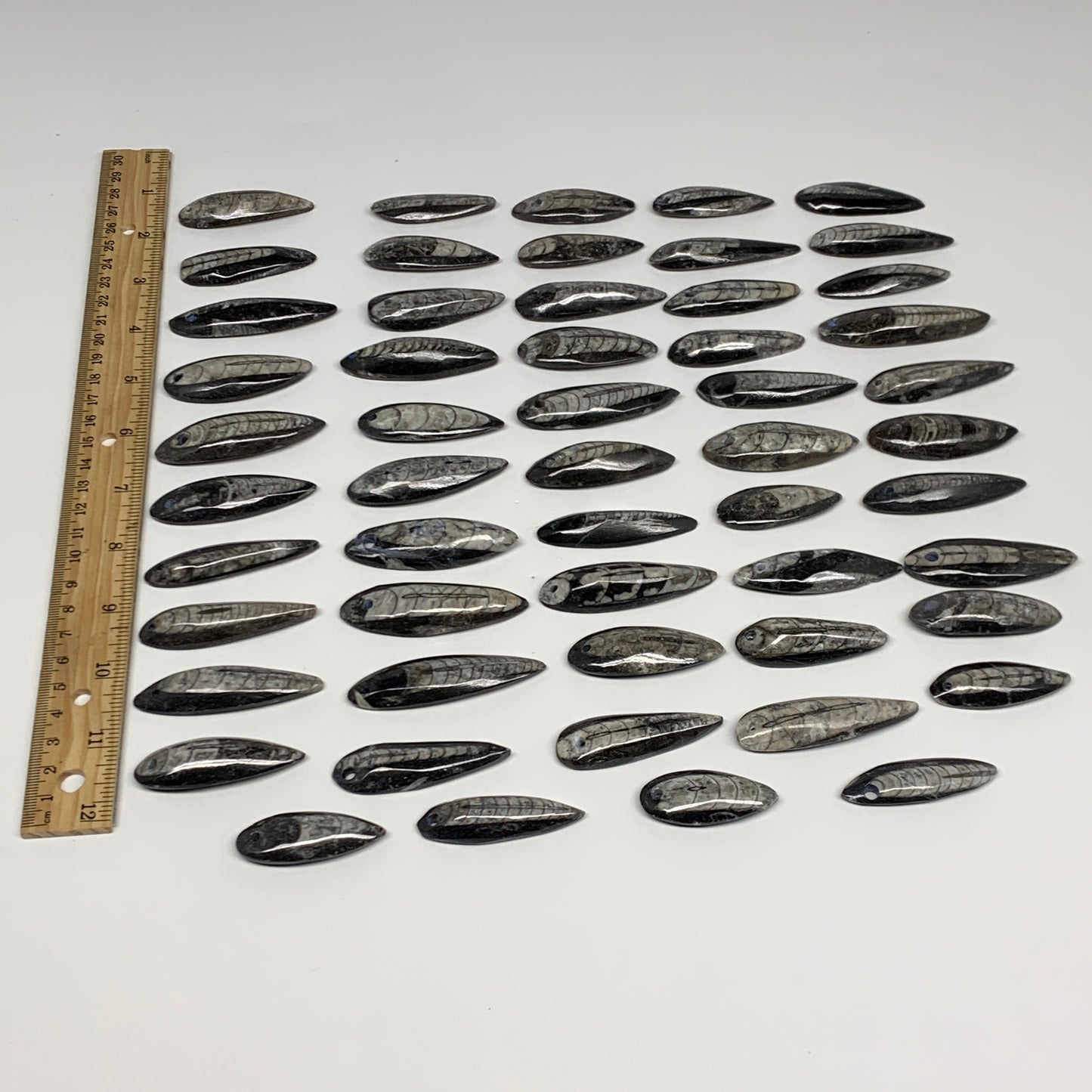 540g (1.19 lbs), 52 pcs, 1.6"-2.5", Small Orthoceras Fossils Drilled Pendants, B