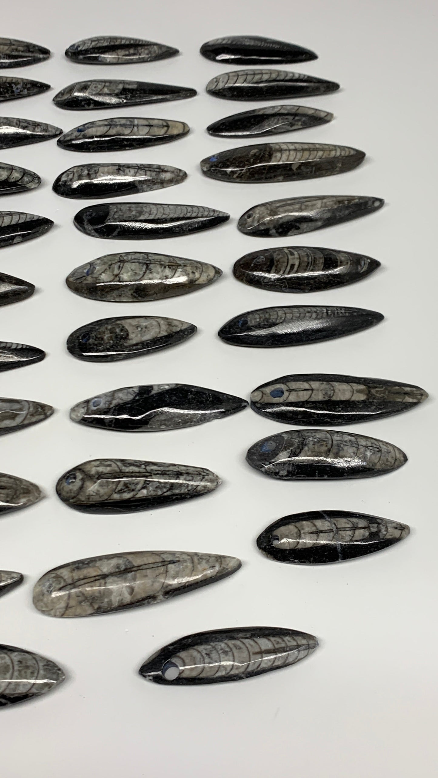 540g (1.19 lbs), 52 pcs, 1.6"-2.5", Small Orthoceras Fossils Drilled Pendants, B