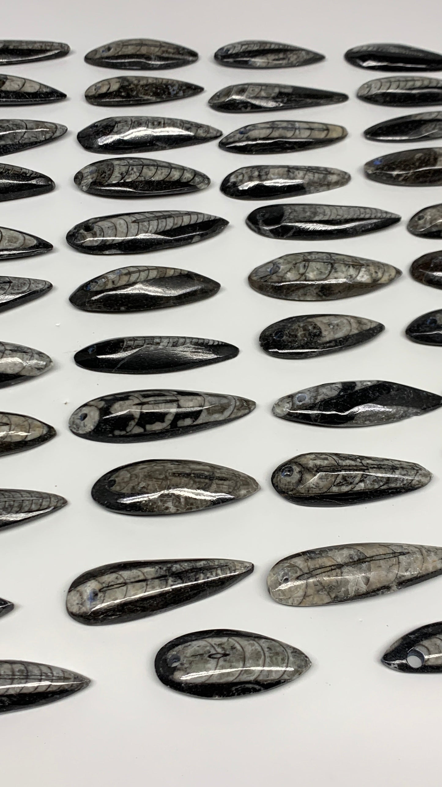 540g (1.19 lbs), 52 pcs, 1.6"-2.5", Small Orthoceras Fossils Drilled Pendants, B