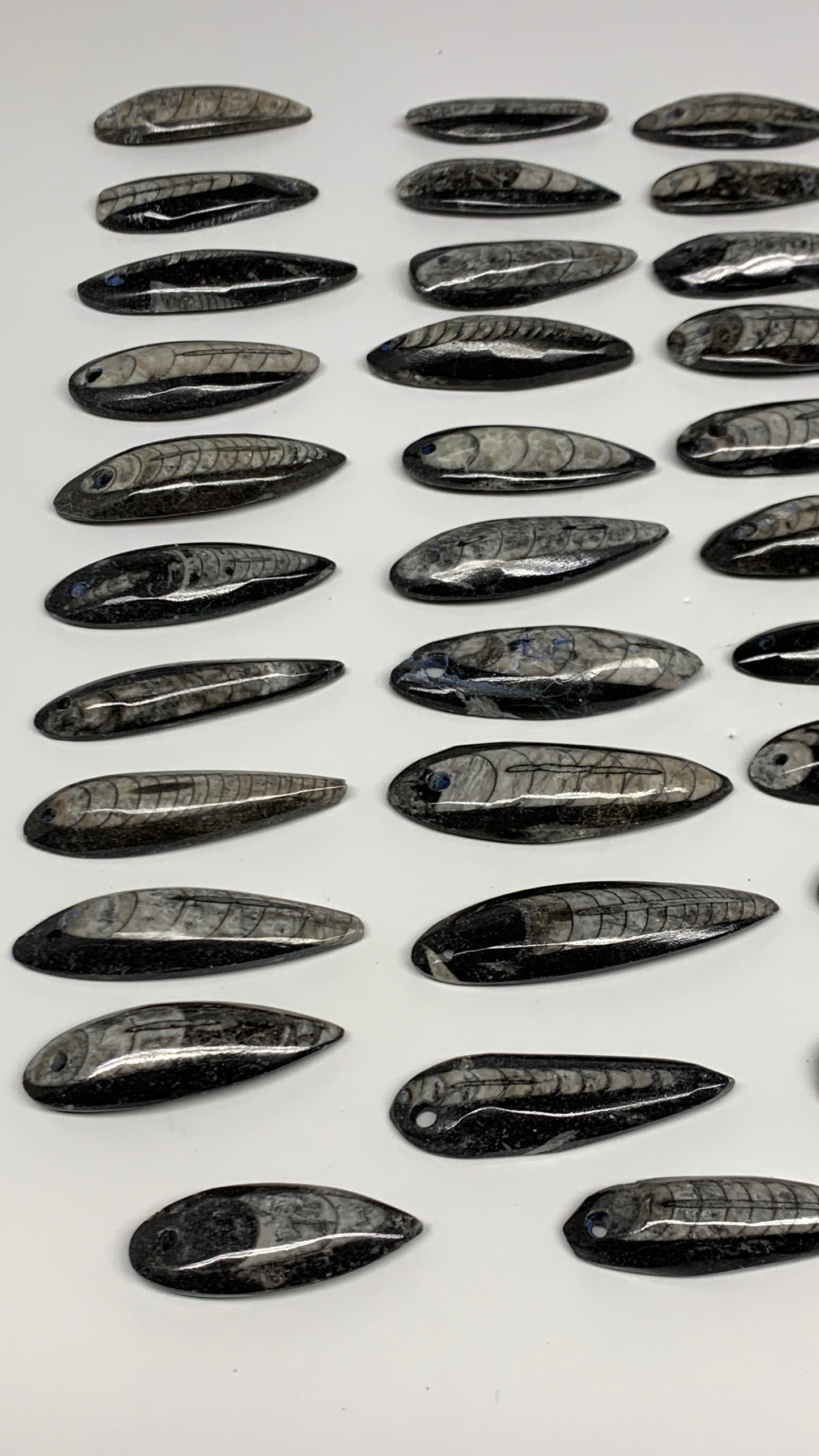 540g (1.19 lbs), 52 pcs, 1.6"-2.5", Small Orthoceras Fossils Drilled Pendants, B