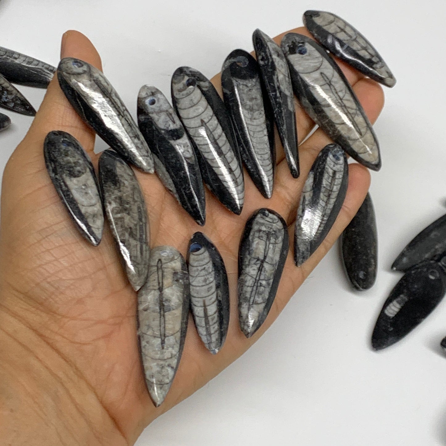 540g (1.19 lbs), 52 pcs, 1.6"-2.5", Small Orthoceras Fossils Drilled Pendants, B