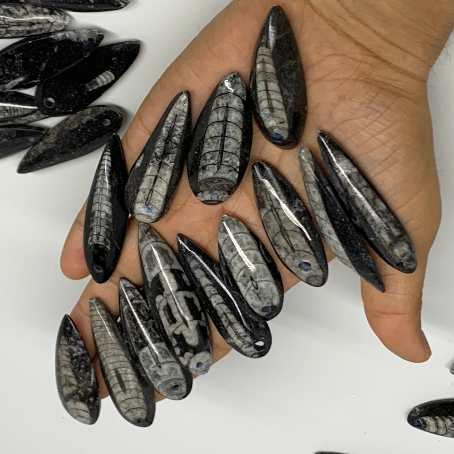 540g (1.19 lbs), 52 pcs, 1.6"-2.5", Small Orthoceras Fossils Drilled Pendants, B