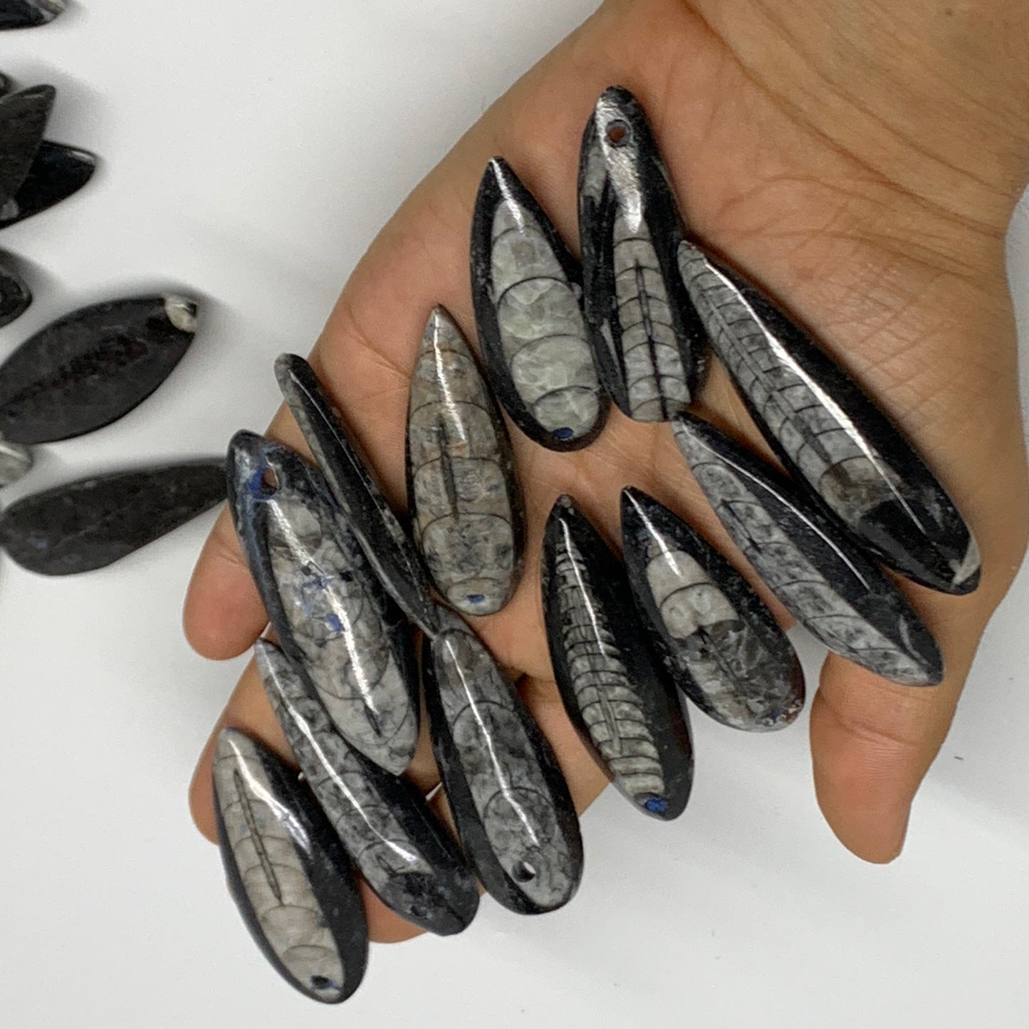 540g (1.19 lbs), 52 pcs, 1.6"-2.5", Small Orthoceras Fossils Drilled Pendants, B