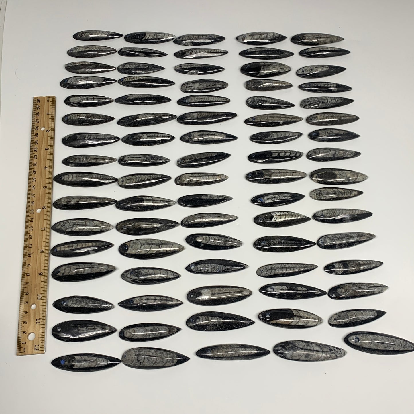 1pc, 2.4" - 3" Black Orthoceras Fossils Drilled Pendant Polished, B29897