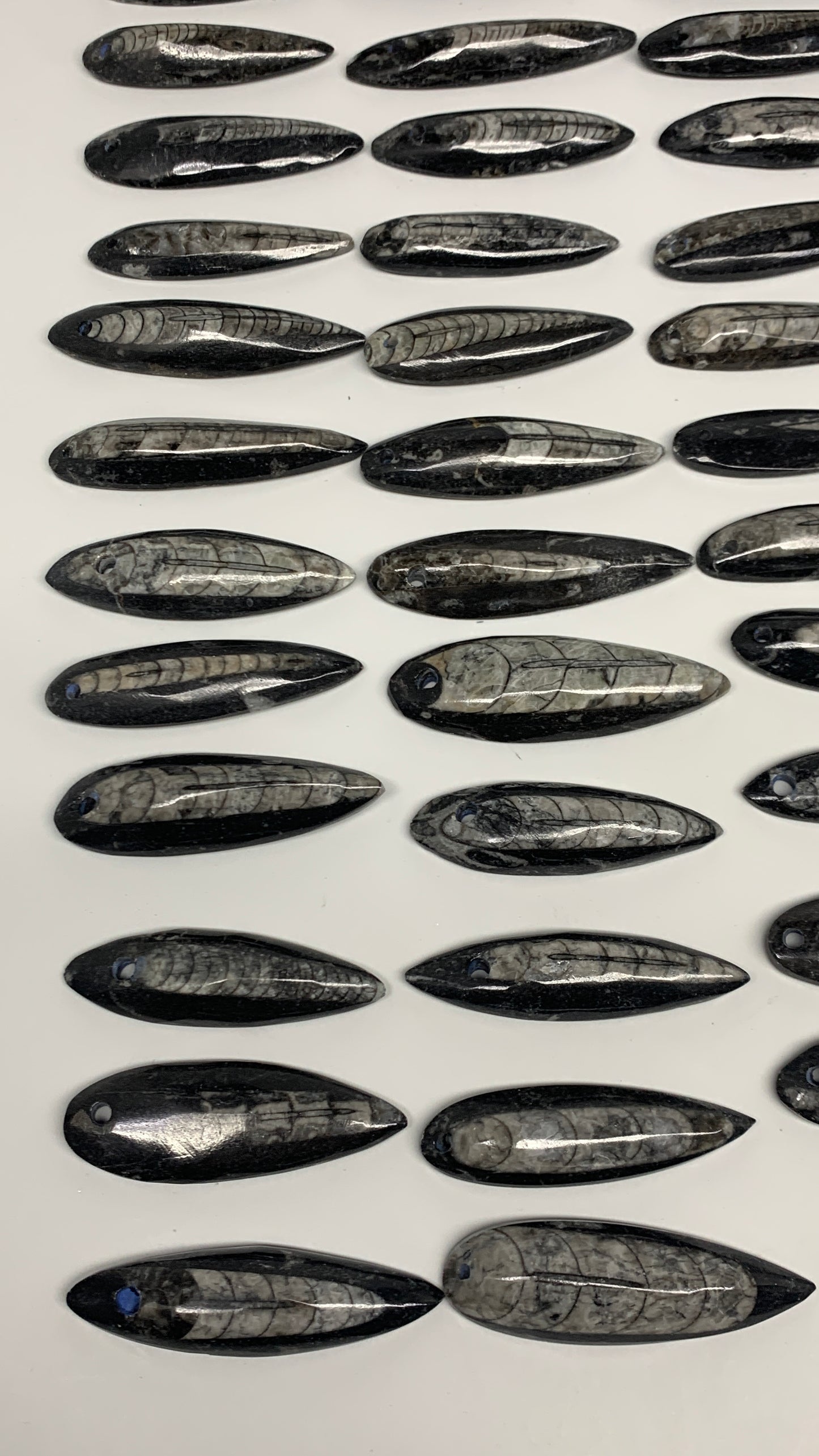 1pc, 2.4" - 3" Black Orthoceras Fossils Drilled Pendant Polished, B29897