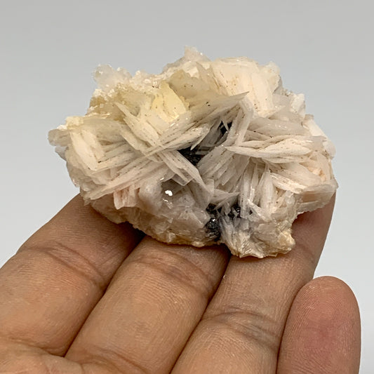 0.20 lbs, 2.1"x1.5"x1.2", Natural Ceresit Galena On Barite Mineral Specimen, B33412