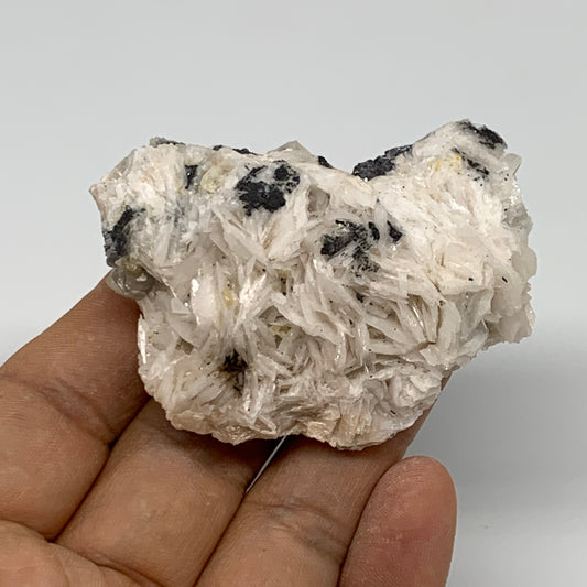0.28 lbs, 2.4"x1.9"x1.9", Natural Ceresit Galena On Barite Mineral Specimen, B33419
