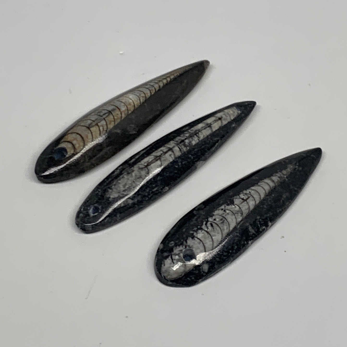 3pcs, 2.9" - 3.1",  60.3g, Black Orthoceras Fossils Drilled Pendant Polished, B2