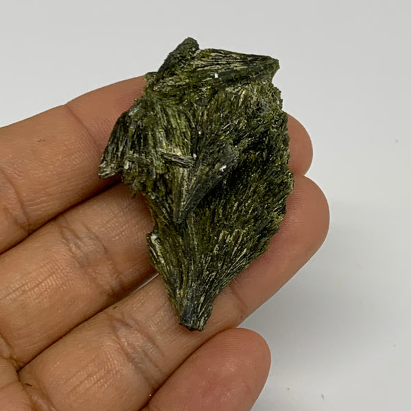 23.9g,1.9"x1.2"x0.6",Green Epidote Custer/Leaf Mineral Specimen @Pakistan,B27585