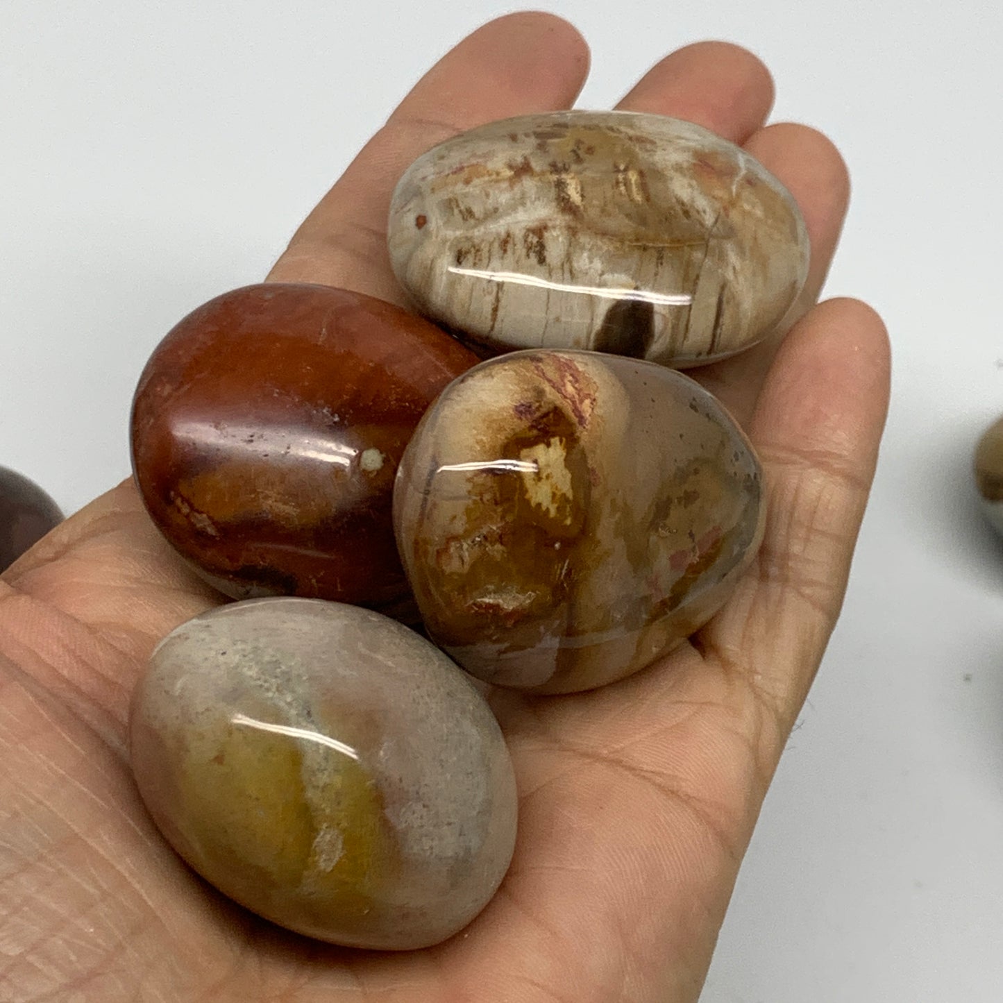 2.2 lb, 1.6"-1.9", 20 pcs, Polychrome Jasper Palm-Stone Polished, B37048
