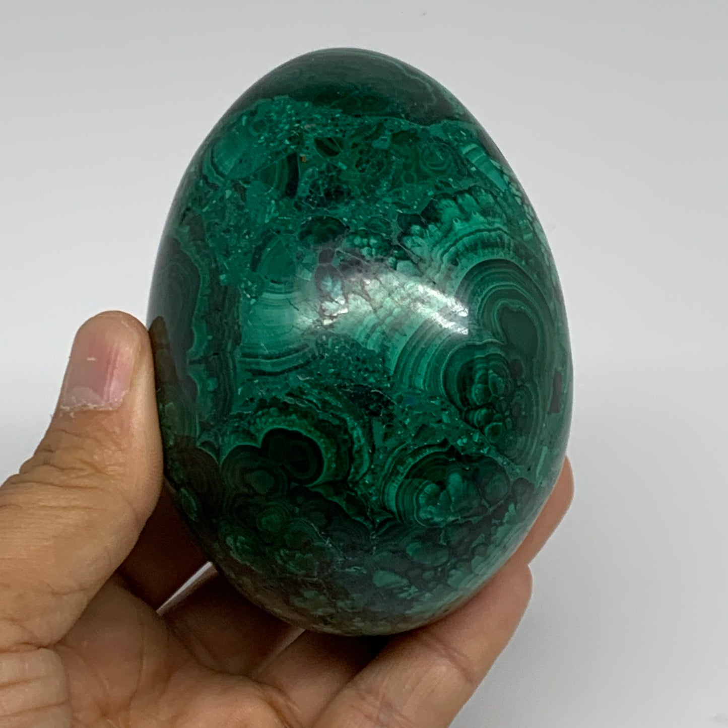 1.34 lbs, 3.4"x2.5", Natural Solid Malachite Egg Polished Gemstone @Congo, B3275