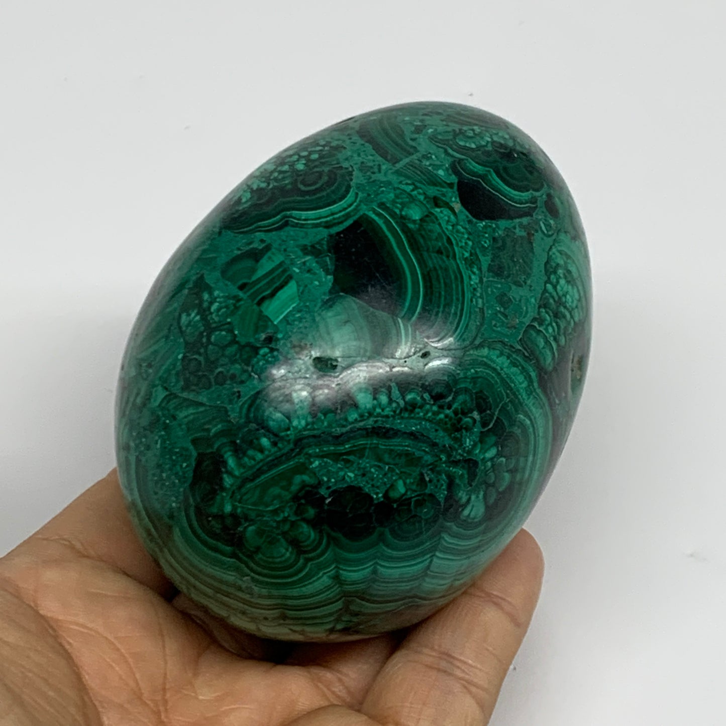 1.34 lbs, 3.4"x2.5", Natural Solid Malachite Egg Polished Gemstone @Congo, B3275