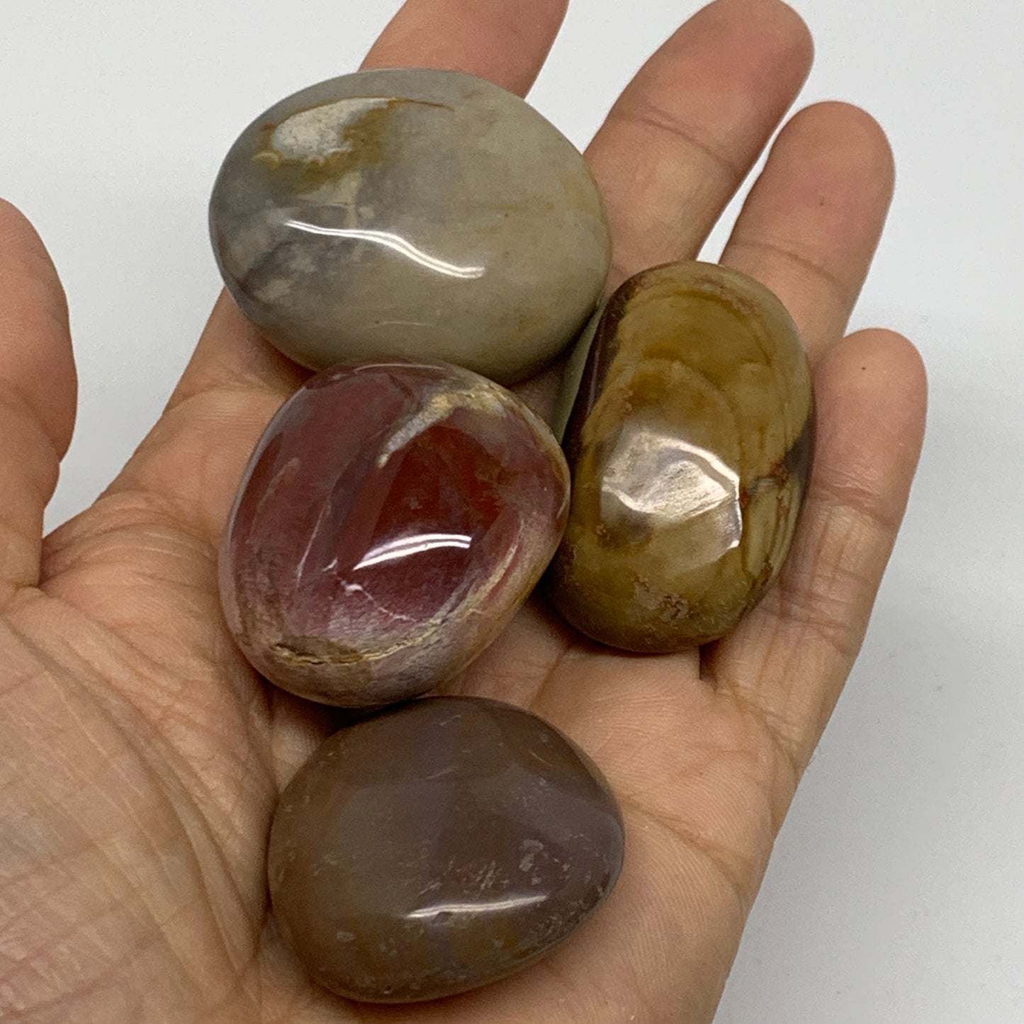 2.2 lb, 1.4"-2", 23 pcs, Polychrome Jasper Palm-Stone Polished, B37049
