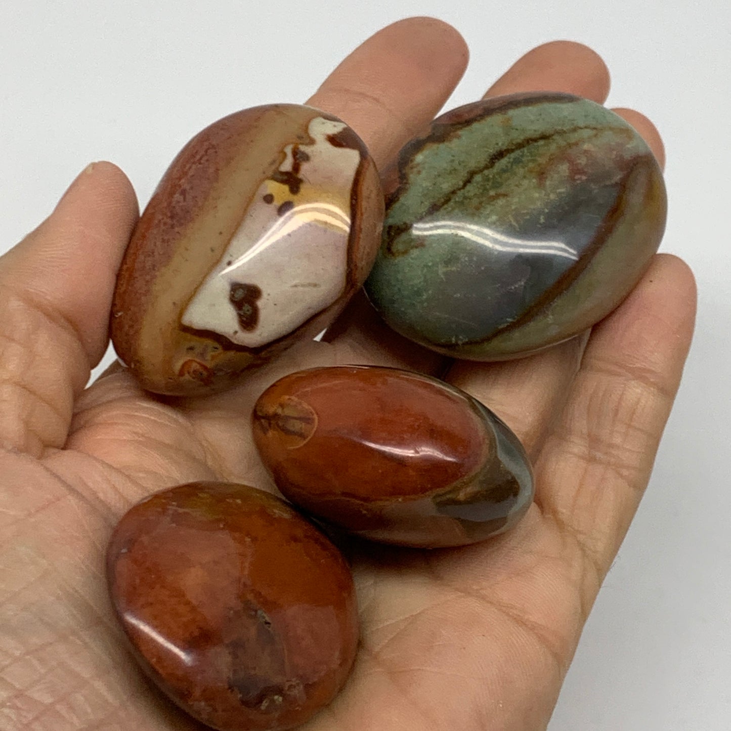 2.2 lb, 1.4"-2", 23 pcs, Polychrome Jasper Palm-Stone Polished, B37049