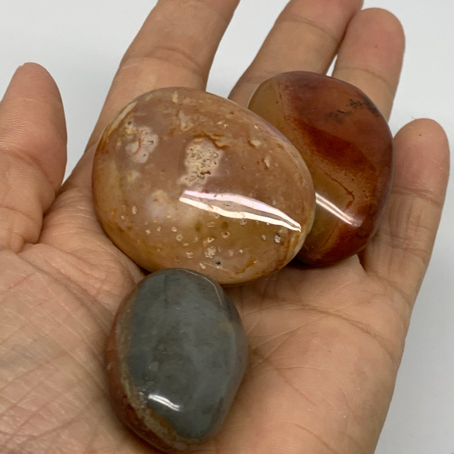 2.2 lb, 1.4"-2", 23 pcs, Polychrome Jasper Palm-Stone Polished, B37049