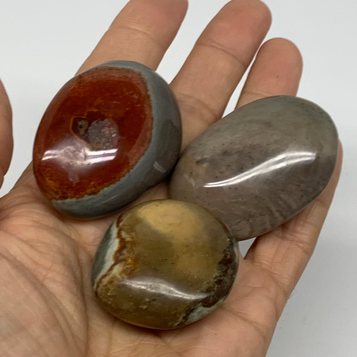 2.2 lb, 1.4"-2", 23 pcs, Polychrome Jasper Palm-Stone Polished, B37049