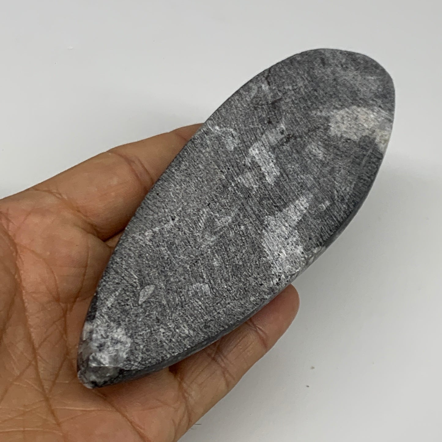 150.3g, 5.4"x1.8"x0.7" Fossils Orthoceras (straight horn) Squid @Morocco,B29918