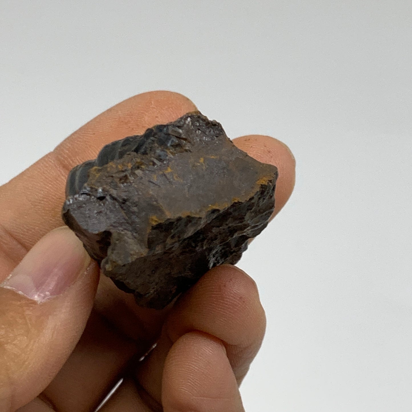 63.5g, 1.9"x1.2"x1", Rough Hematite Botryoidal Mineral Crystal, B37057