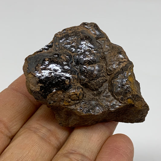97.2g, 2.2"x1.6"x1", Rough Hematite Botryoidal Mineral Crystal, B37058