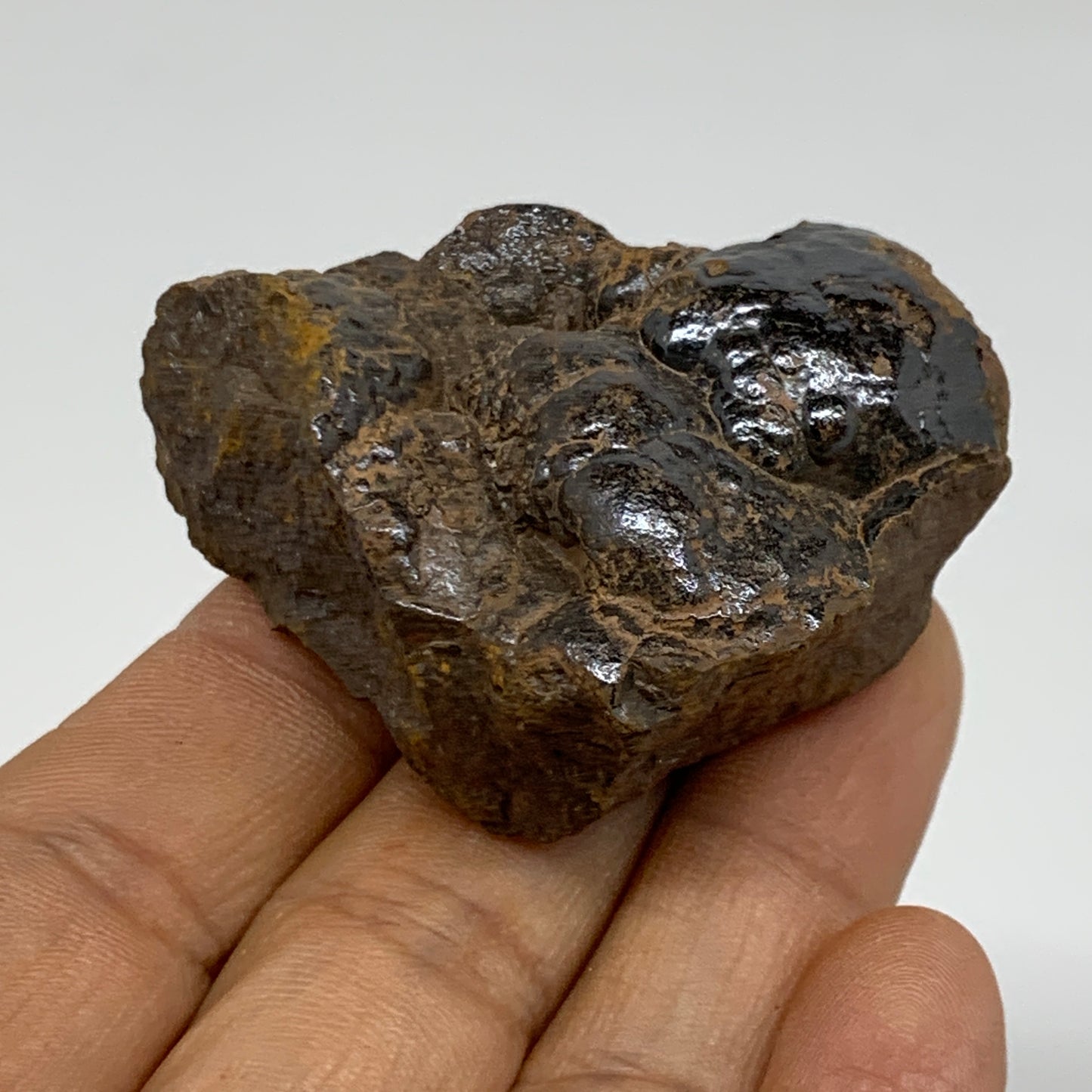 97.2g, 2.2"x1.6"x1", Rough Hematite Botryoidal Mineral Crystal, B37058