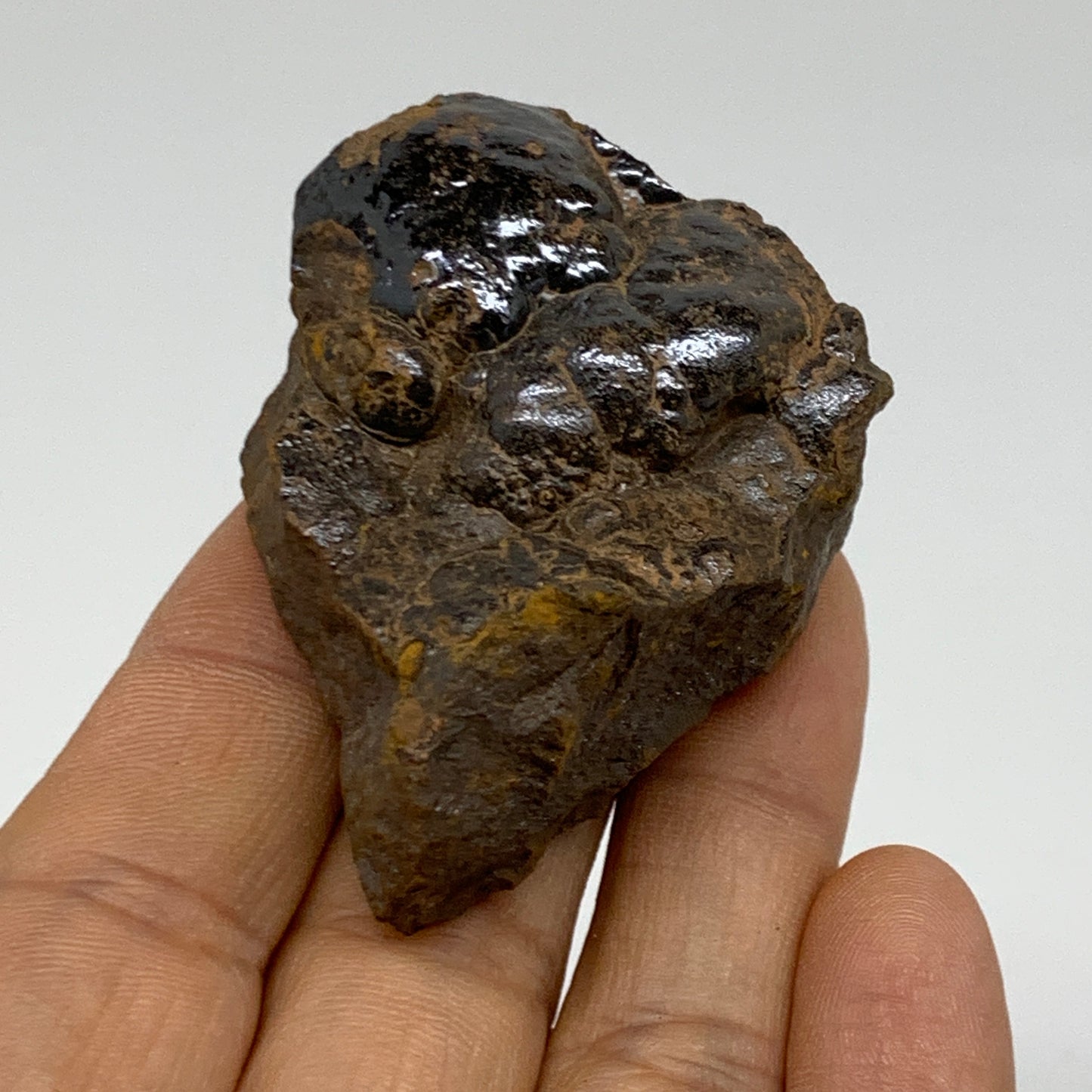 97.2g, 2.2"x1.6"x1", Rough Hematite Botryoidal Mineral Crystal, B37058