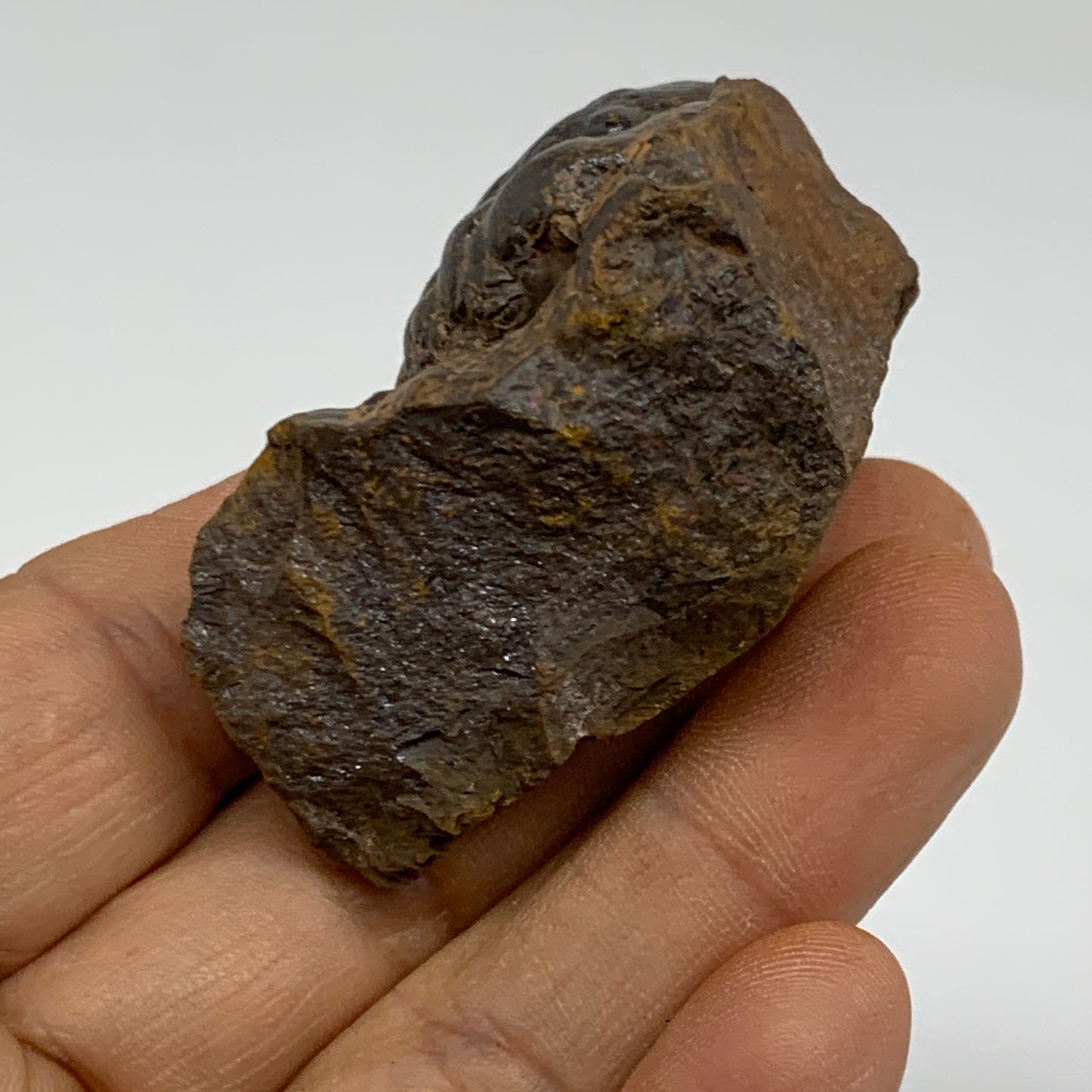 97.2g, 2.2"x1.6"x1", Rough Hematite Botryoidal Mineral Crystal, B37058