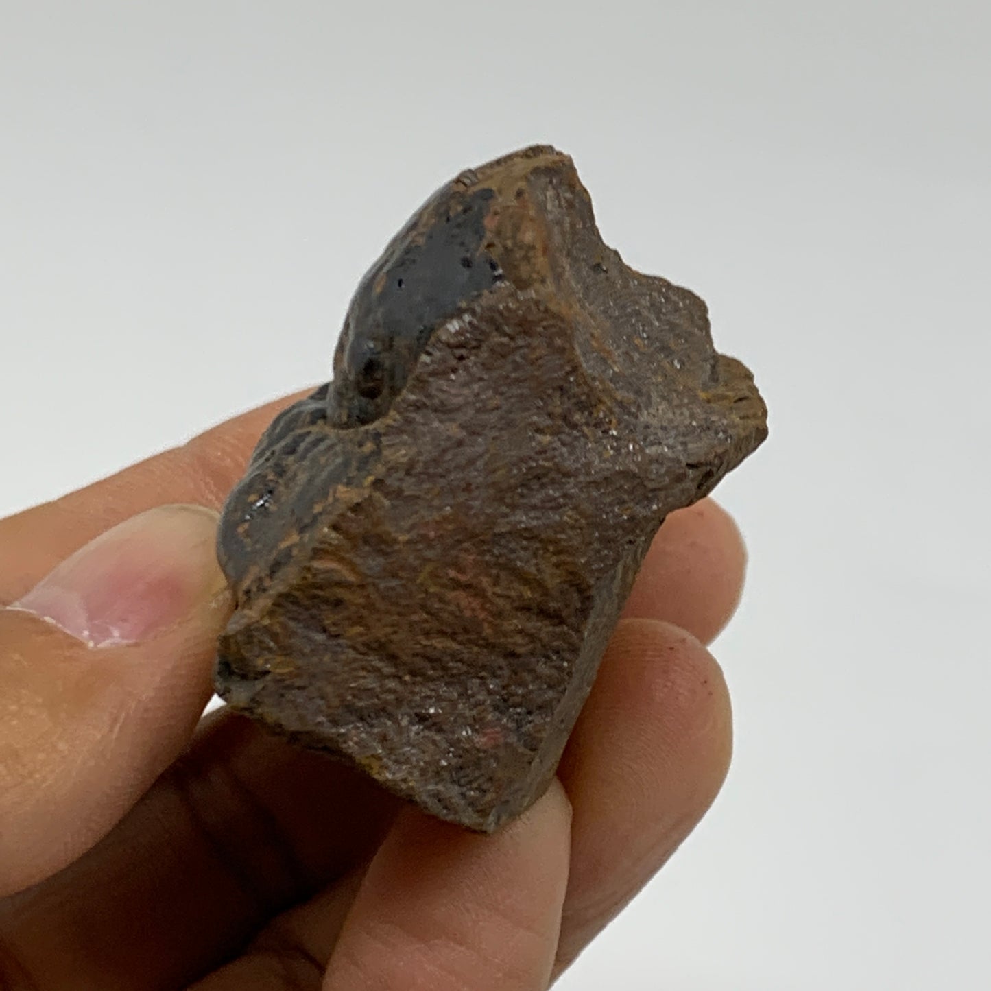 97.2g, 2.2"x1.6"x1", Rough Hematite Botryoidal Mineral Crystal, B37058